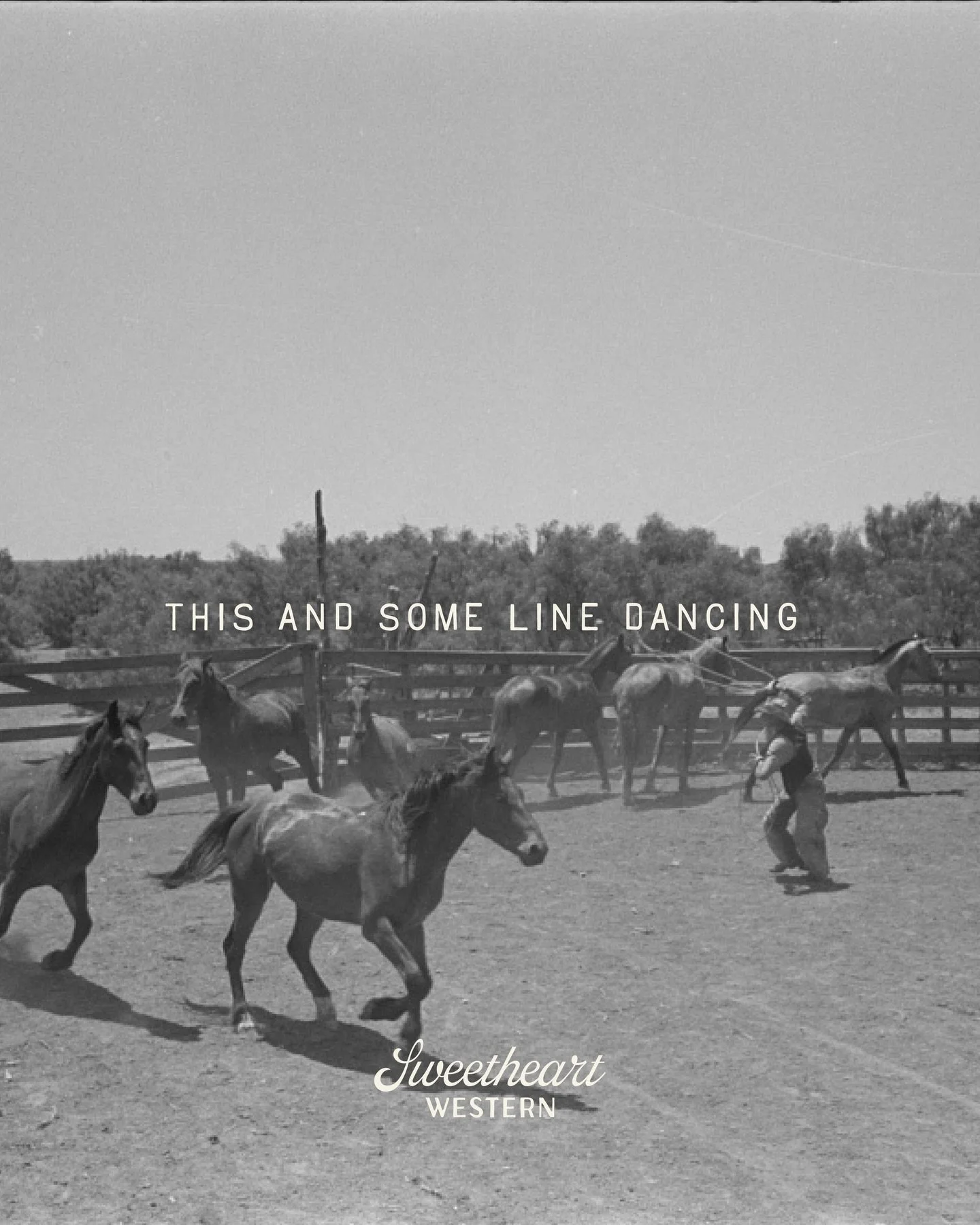 daydreaming

#sweetheartwestern #countrylife #westernlife #rodeo #cowboy #cowgirls