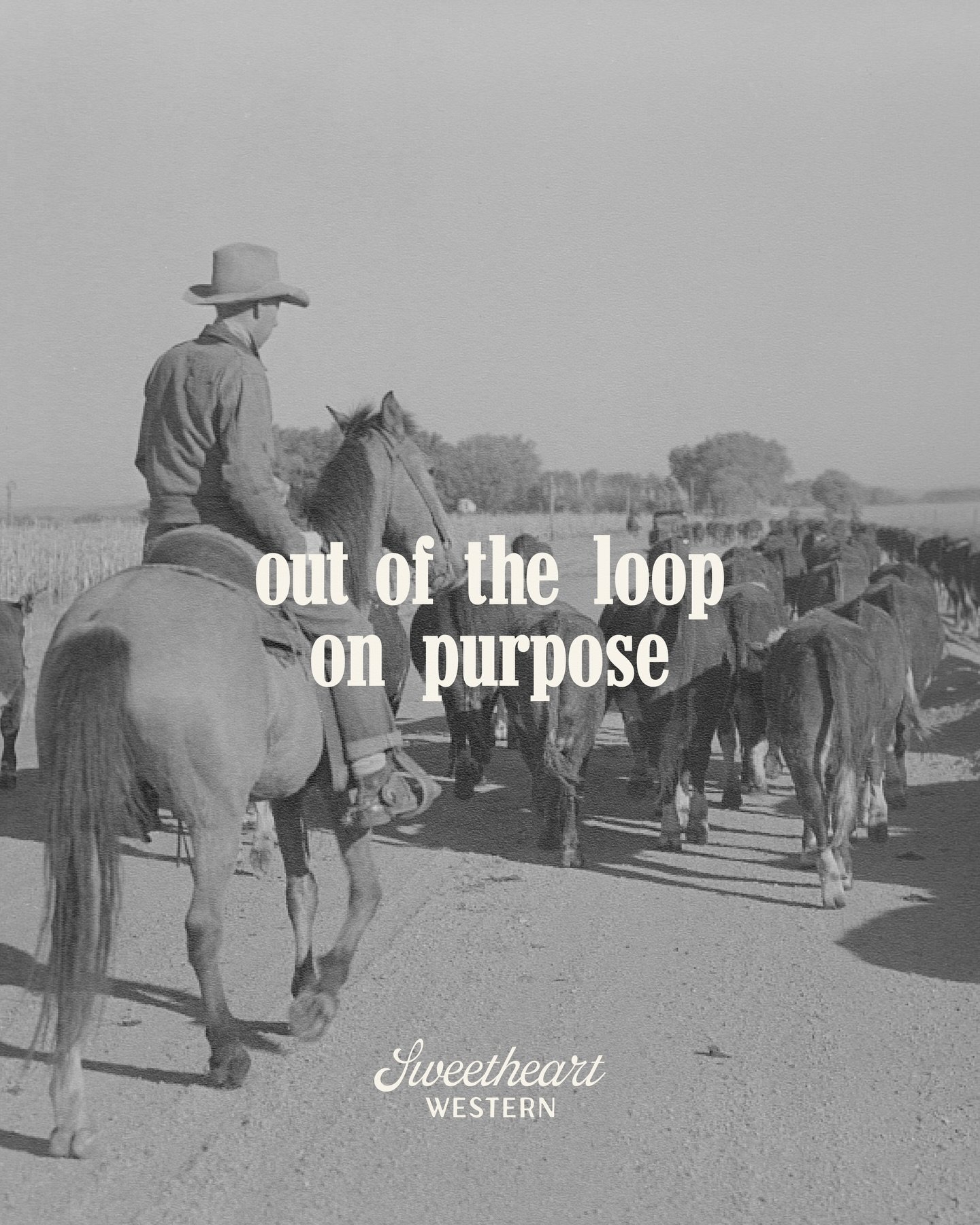 coming 01/31/2026 🤎

get priority access by joining our email list 💌 link in bio

#sweetheartwestern #countrylife #western #cowgirl #rodeo