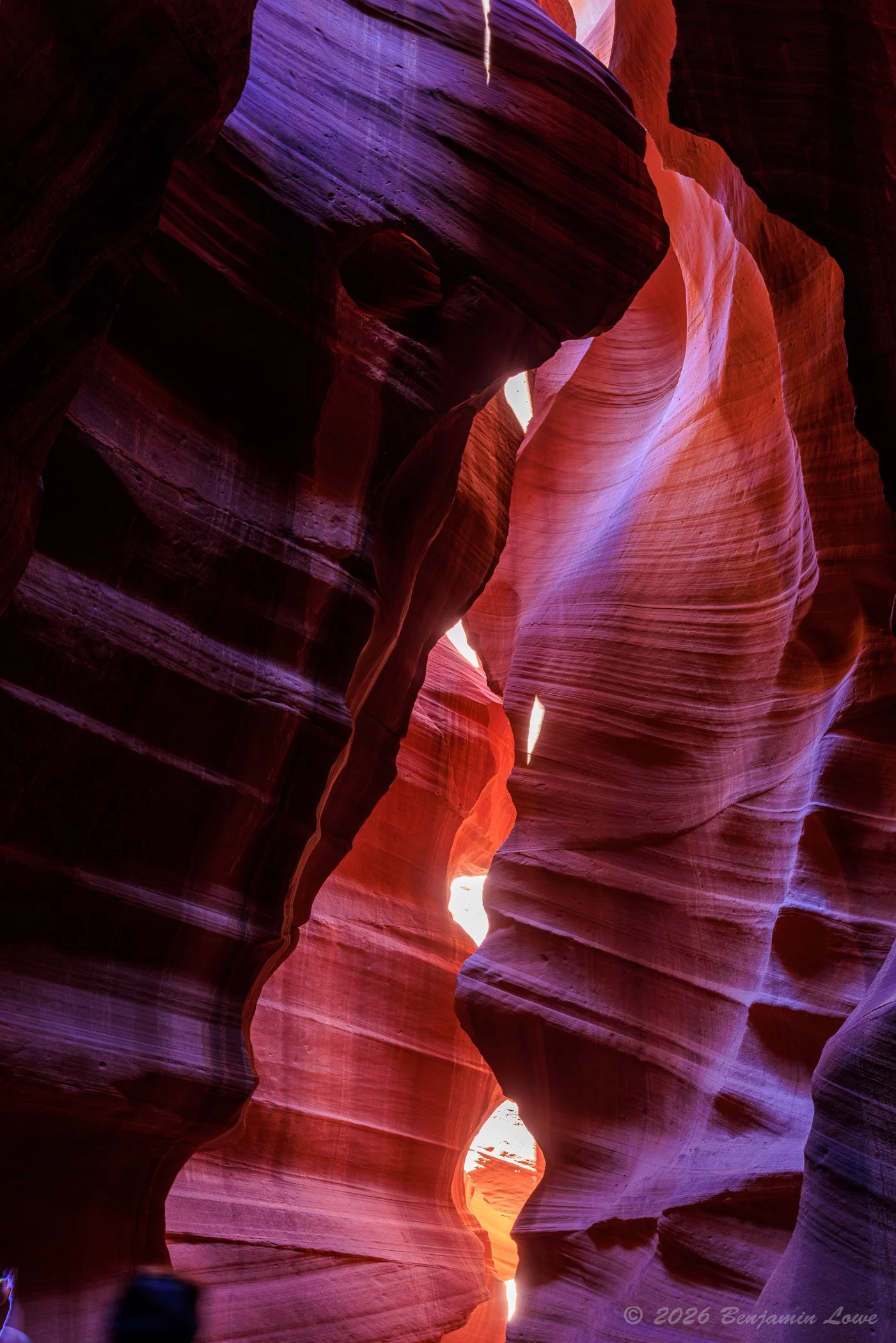 20260304-_90A6292-HDR.jpg