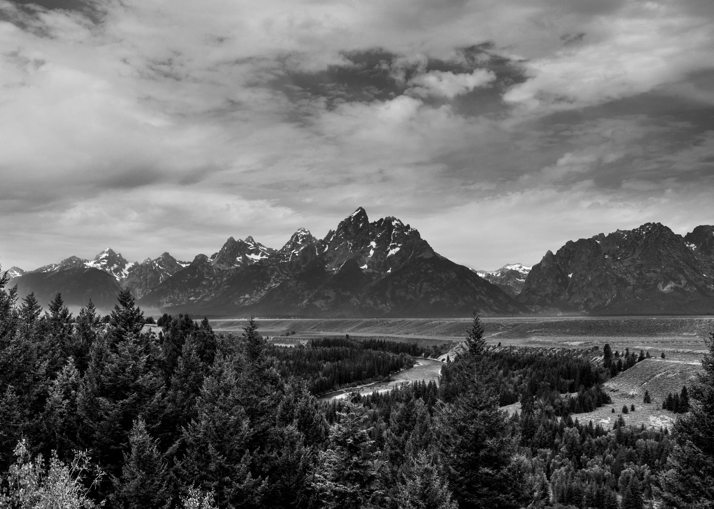 20240714-_90A3145.jpg