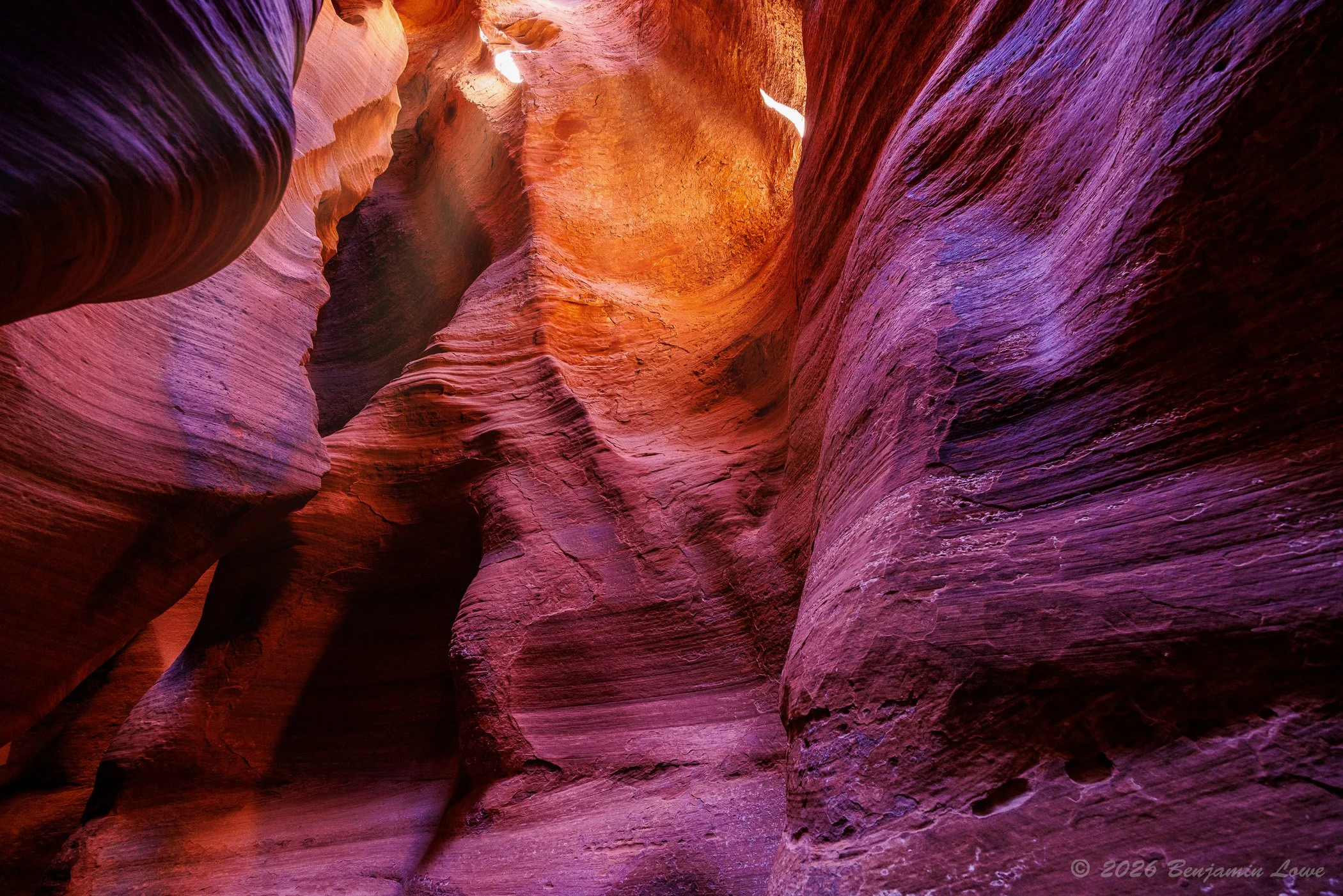 20260303-_90A5949-HDR-690.jpg