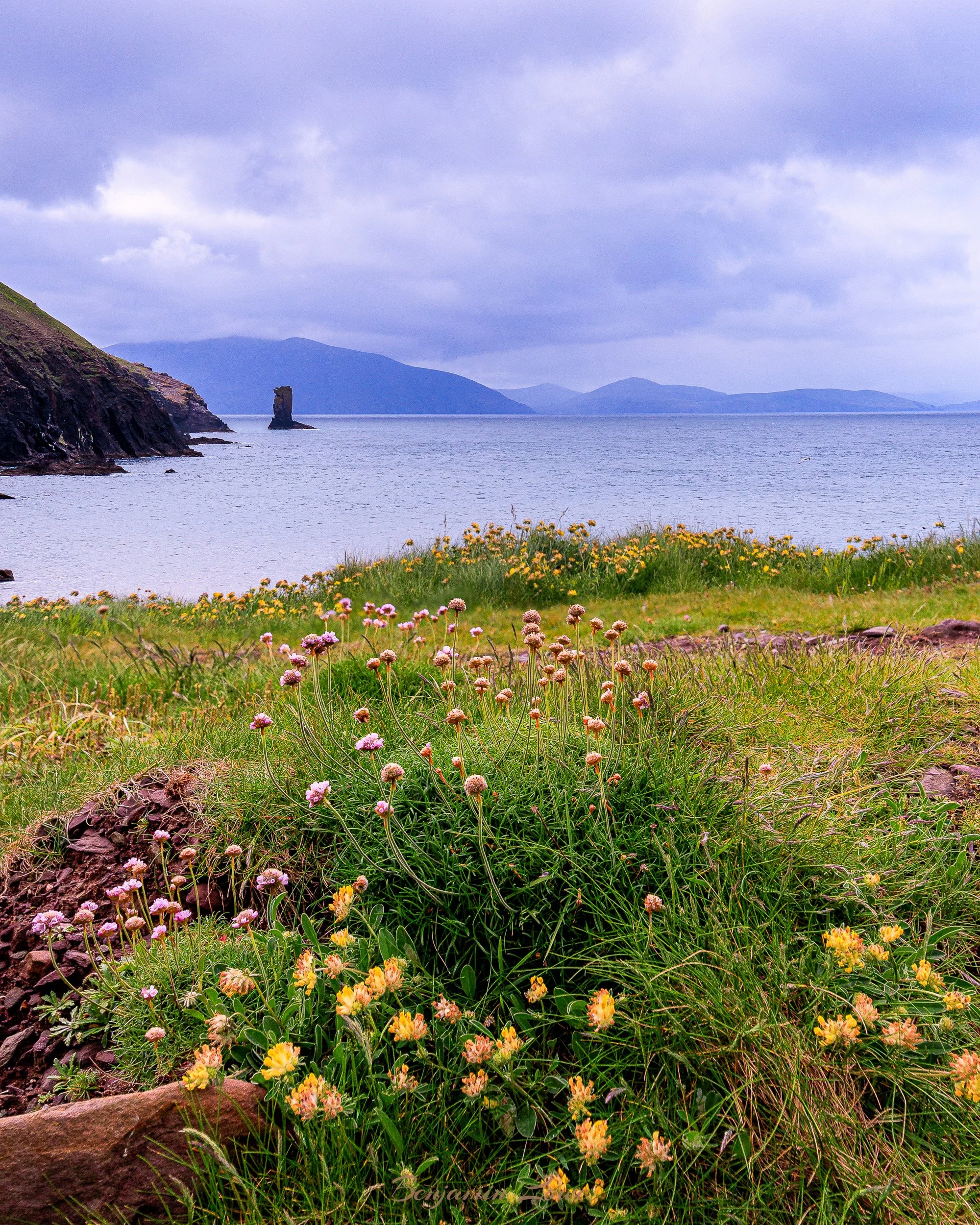 20240530-_90A1325-Edit-Edit.jpg