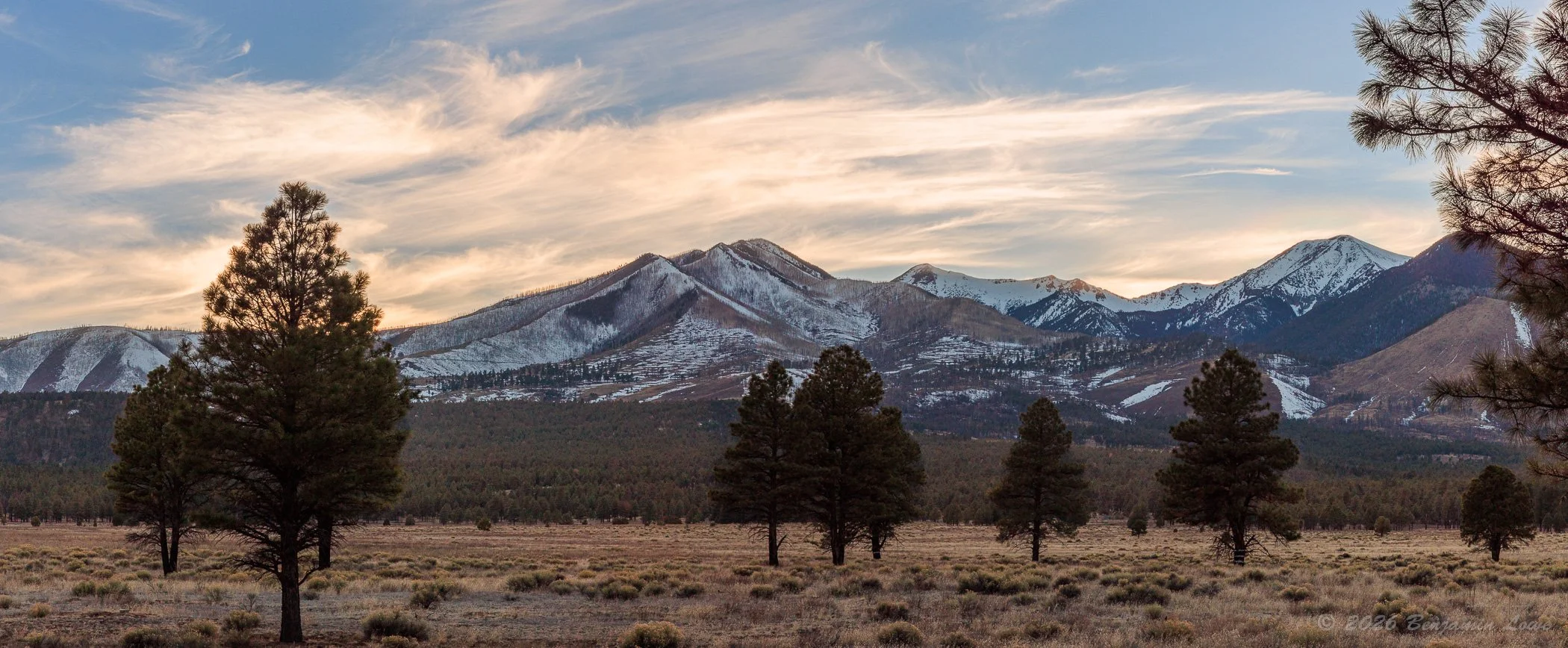 20260301-_90A5544-Pano.jpg