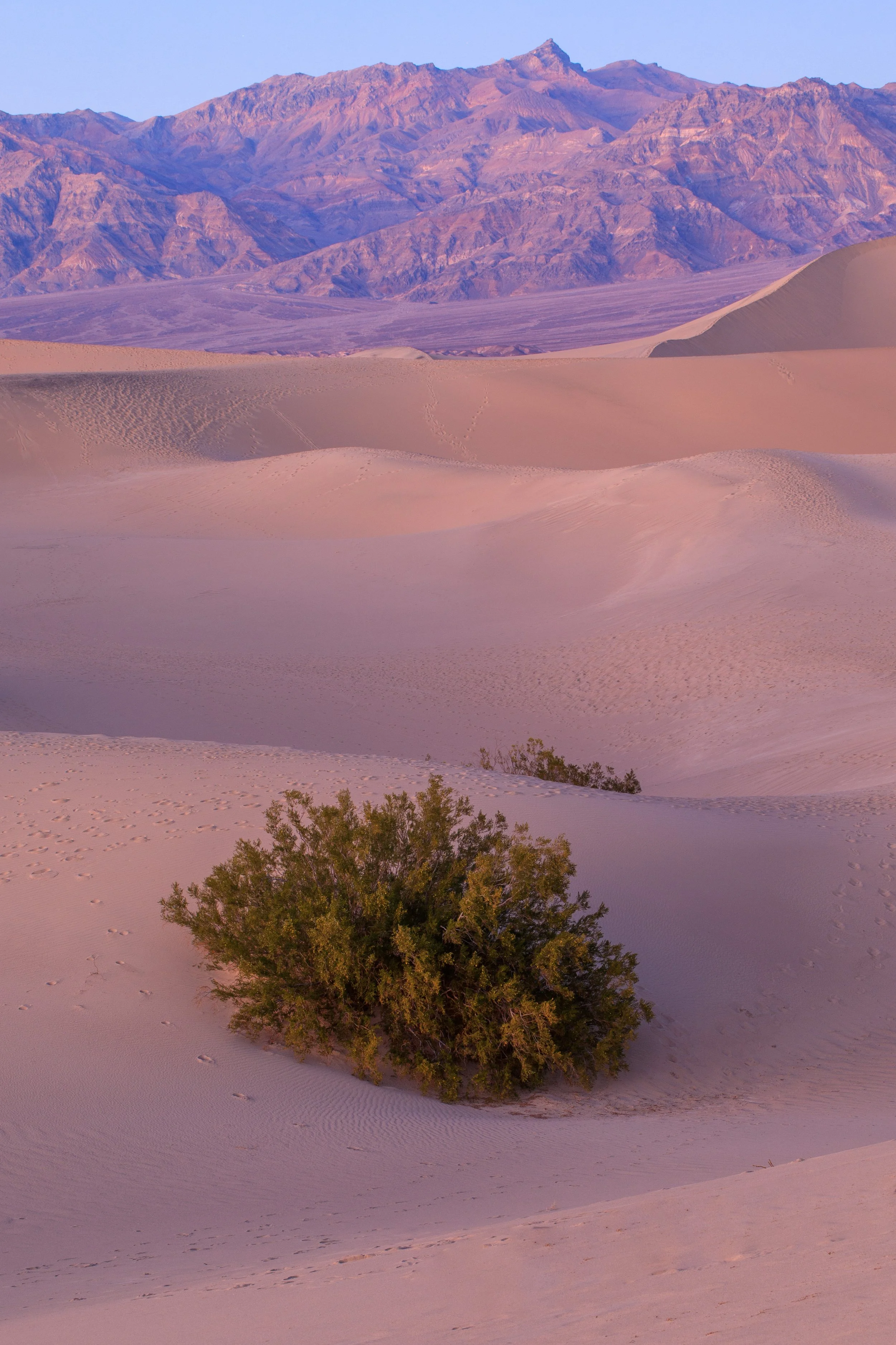 Death Valley Masquite Sand Dunes--7.jpg