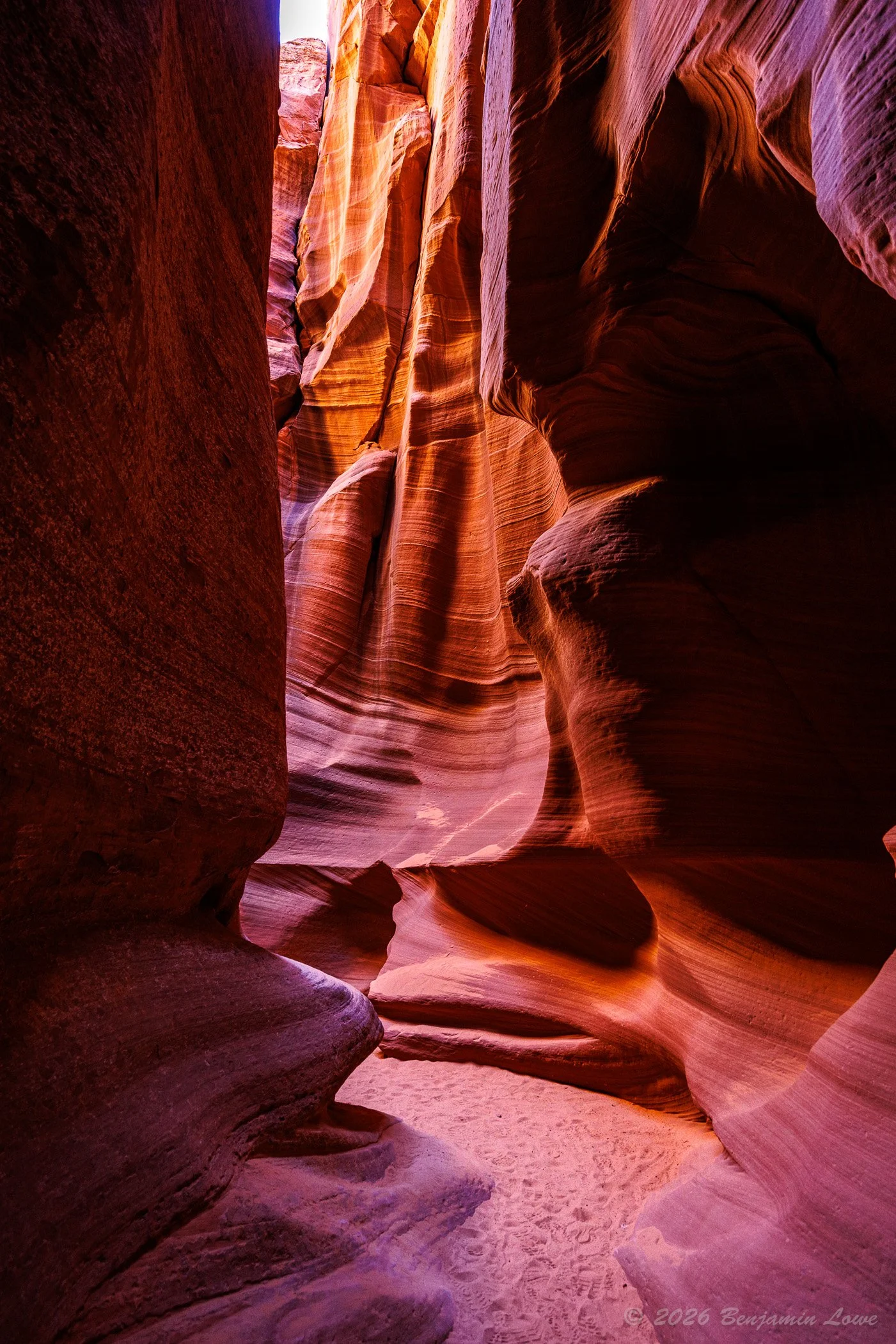 20260303-_90A5893-HDR.jpg