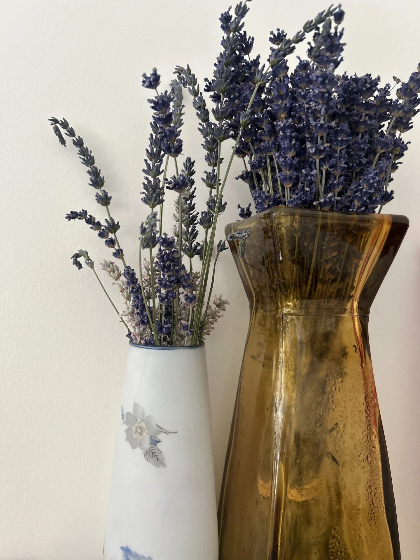 Dried lavender in amber glass