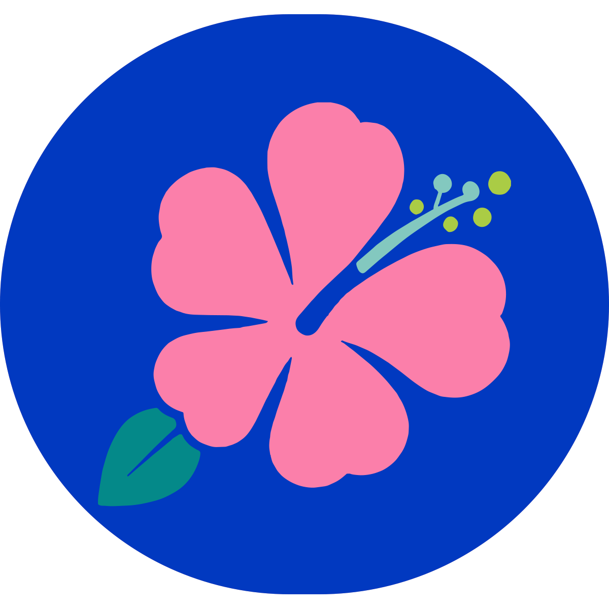 Hibiscus.png
