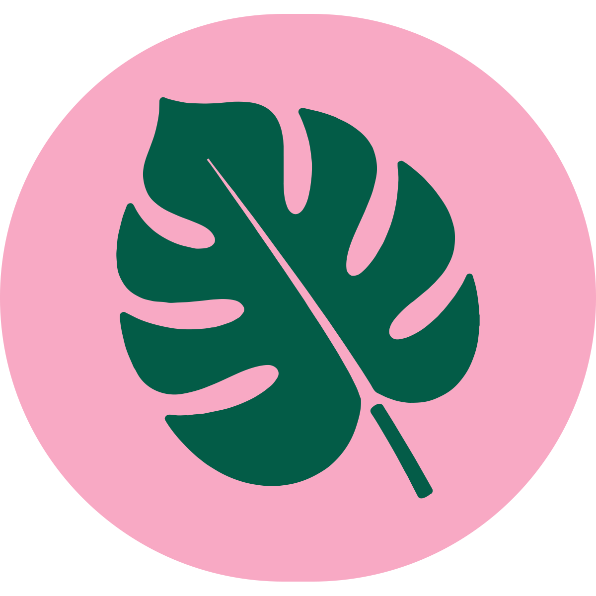 Monstera.png