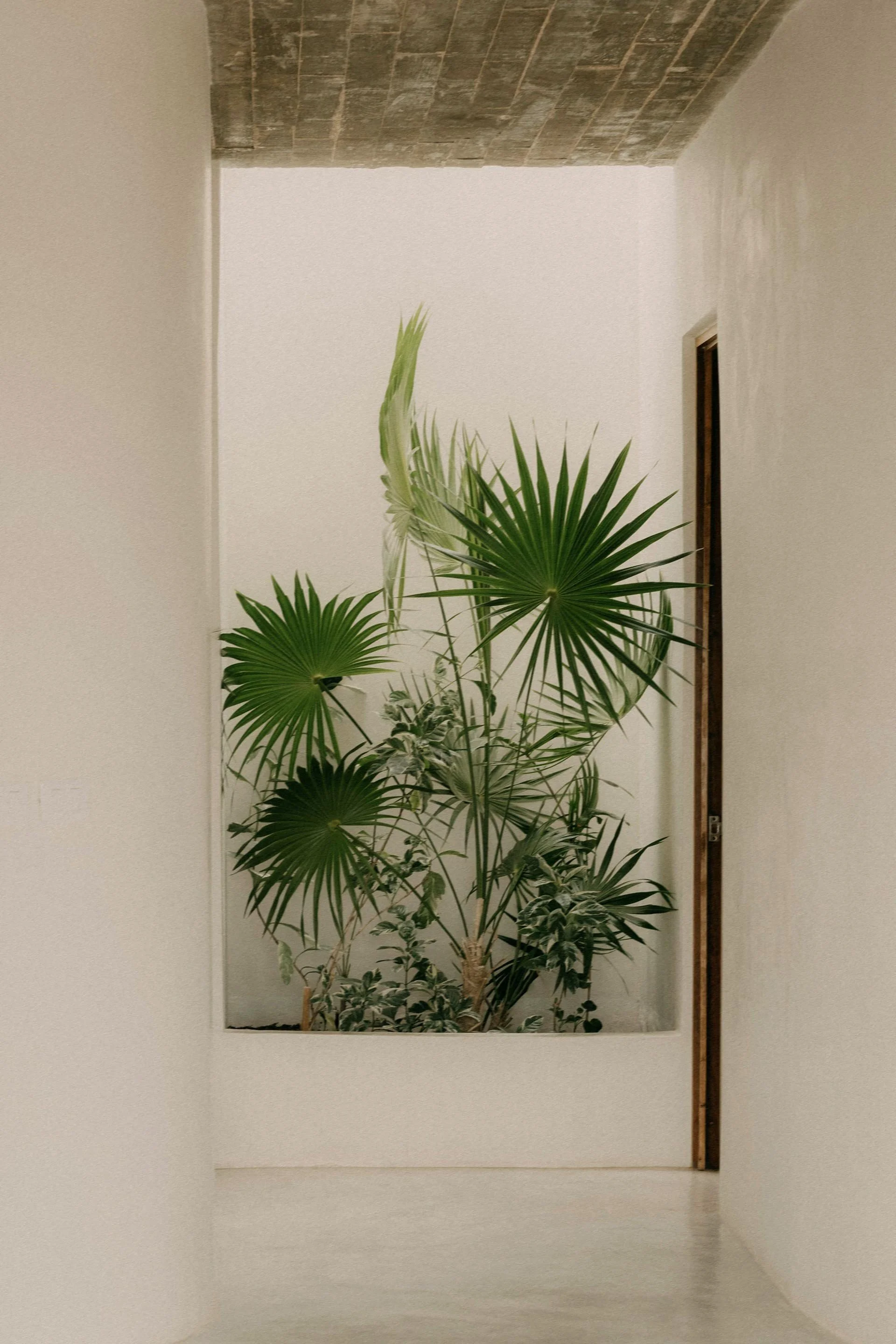 mathilde-langevin-WzWkpVqqa9o-unsplash copy.jpg