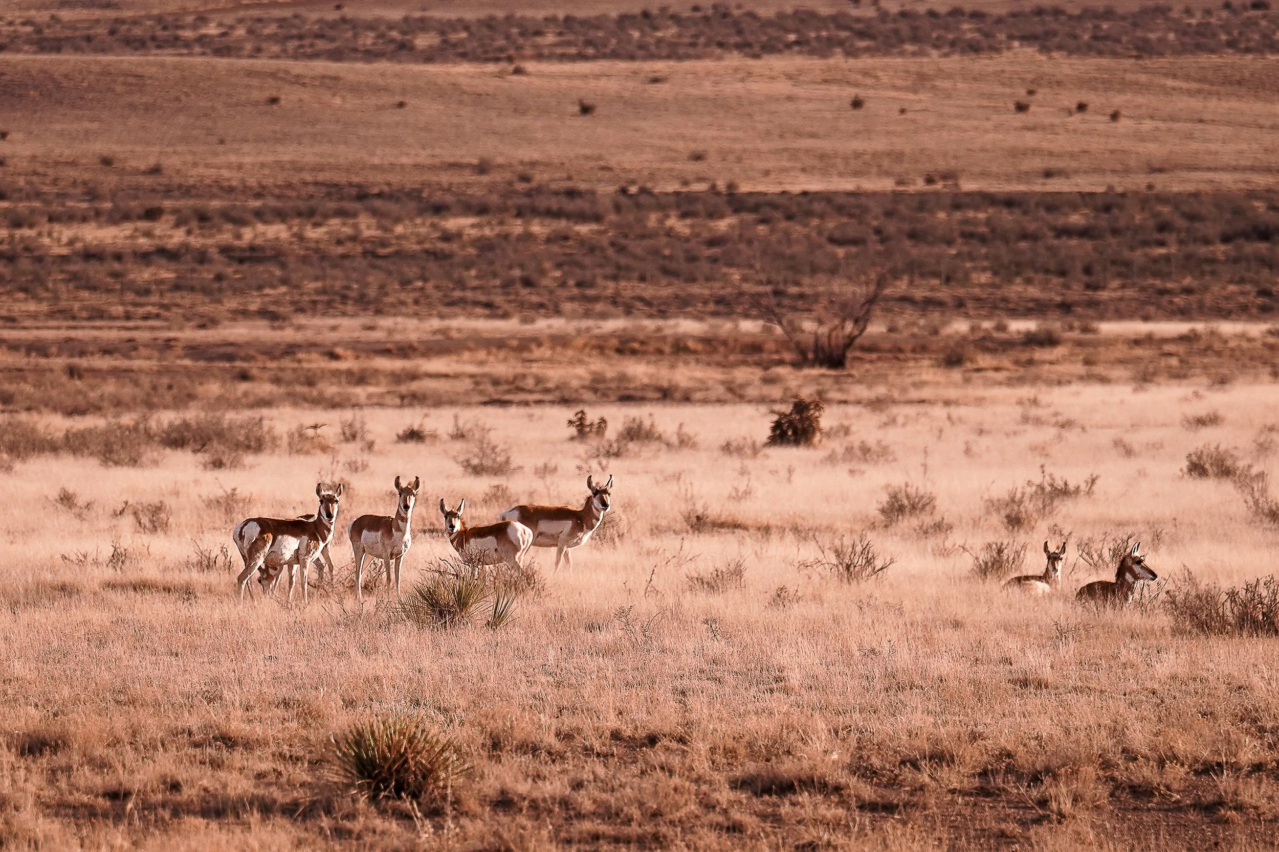 Where we live-11.jpg