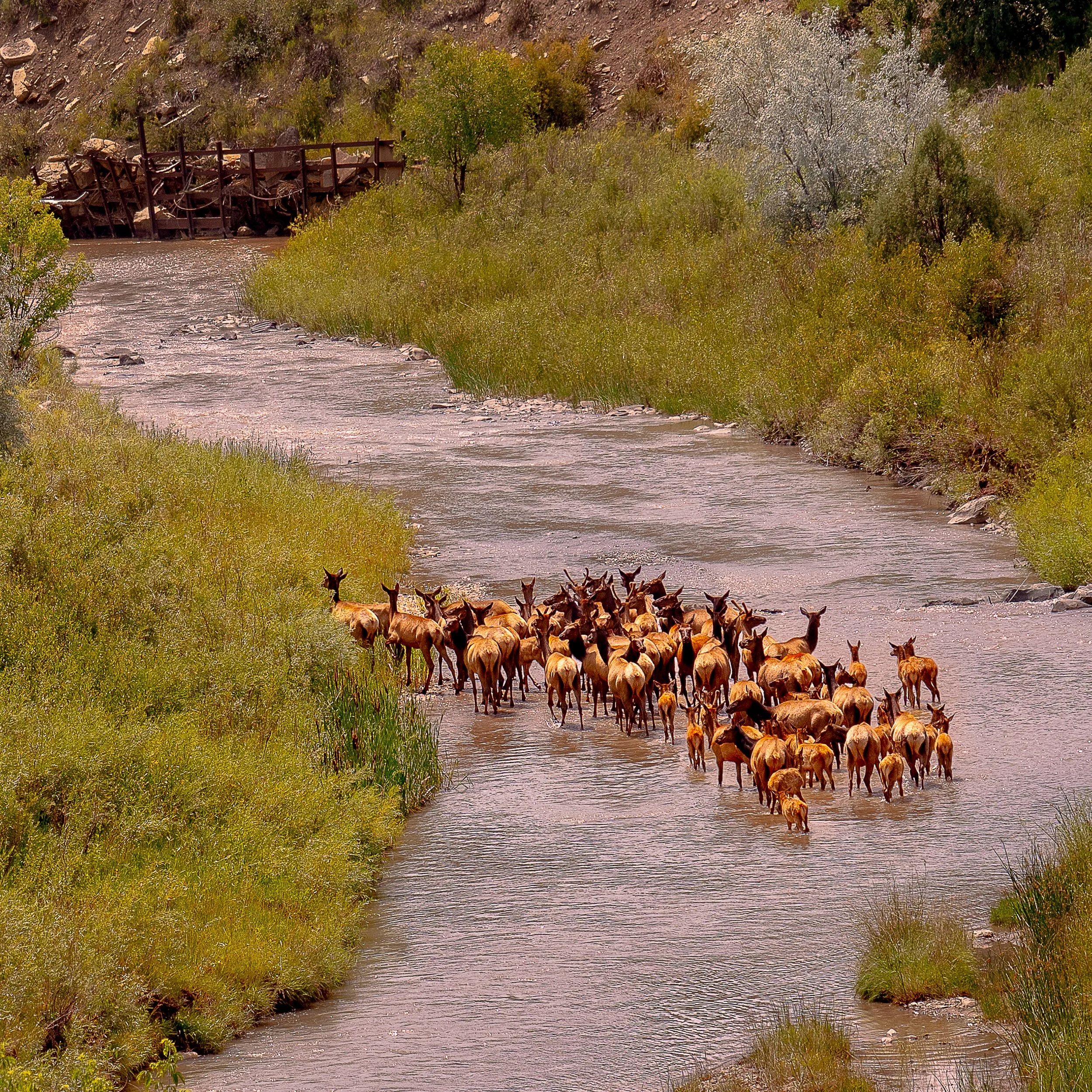 Where we live-02.jpg