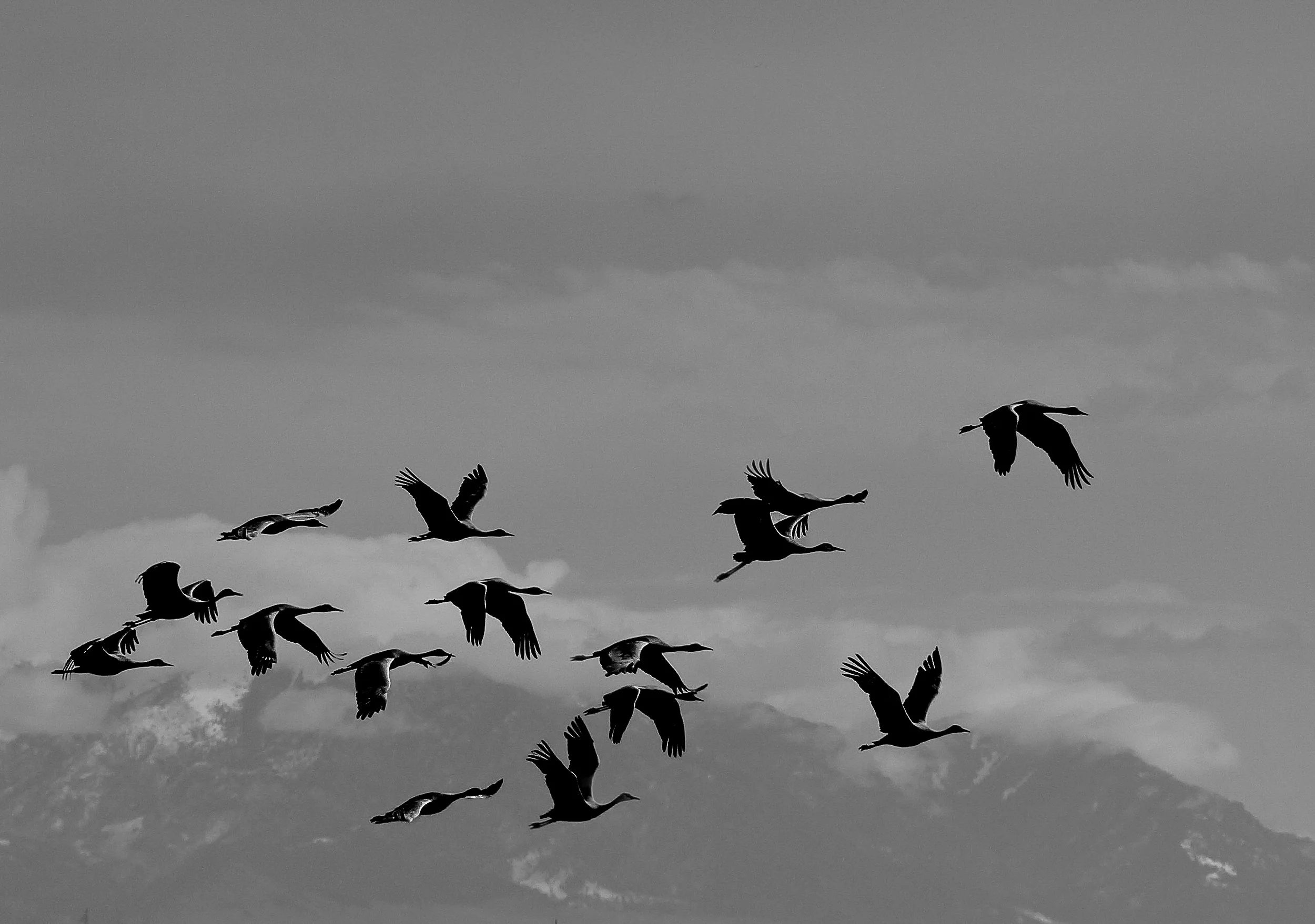 Where we live-30.jpg