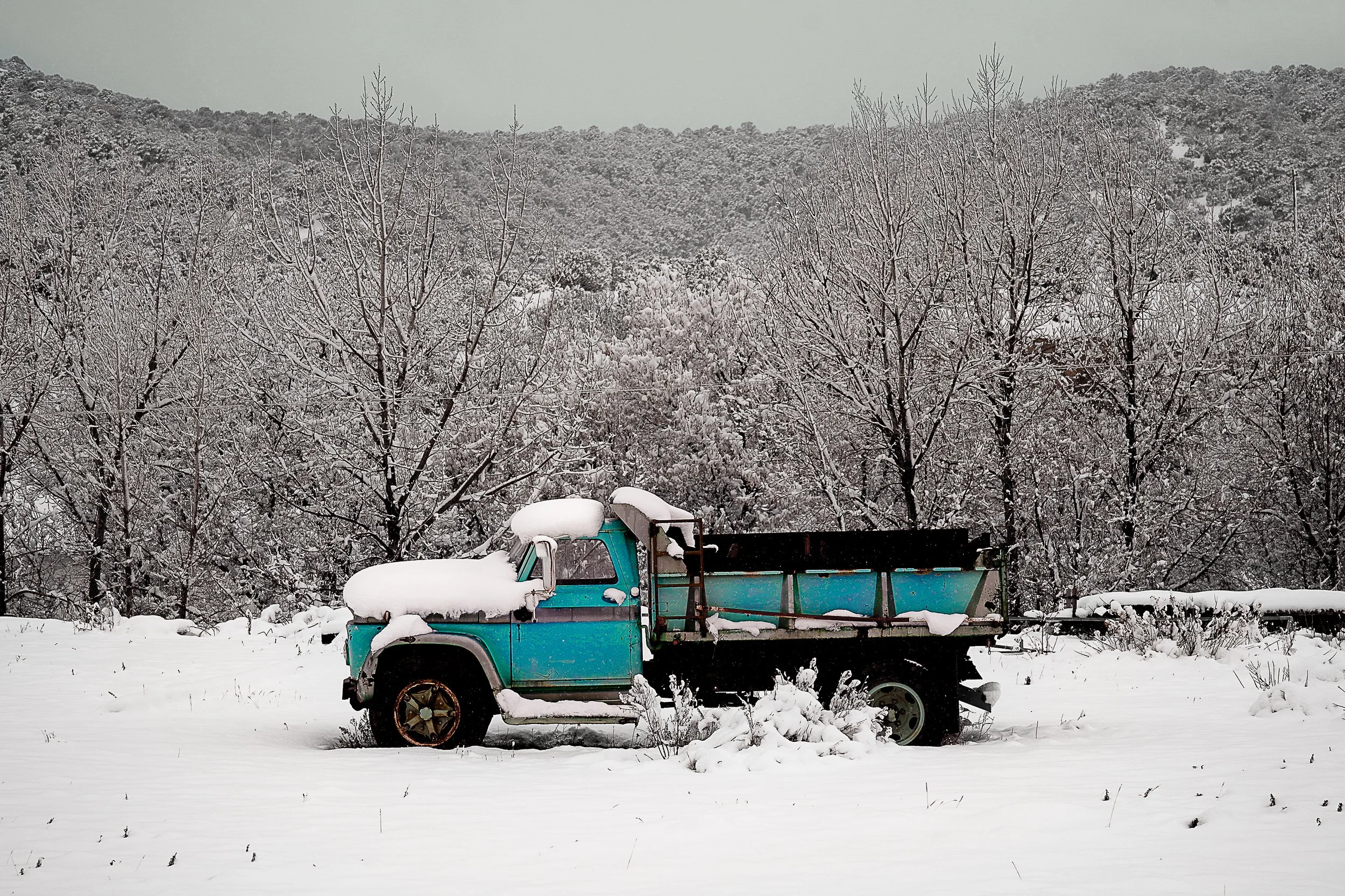 Where we live-18.jpg