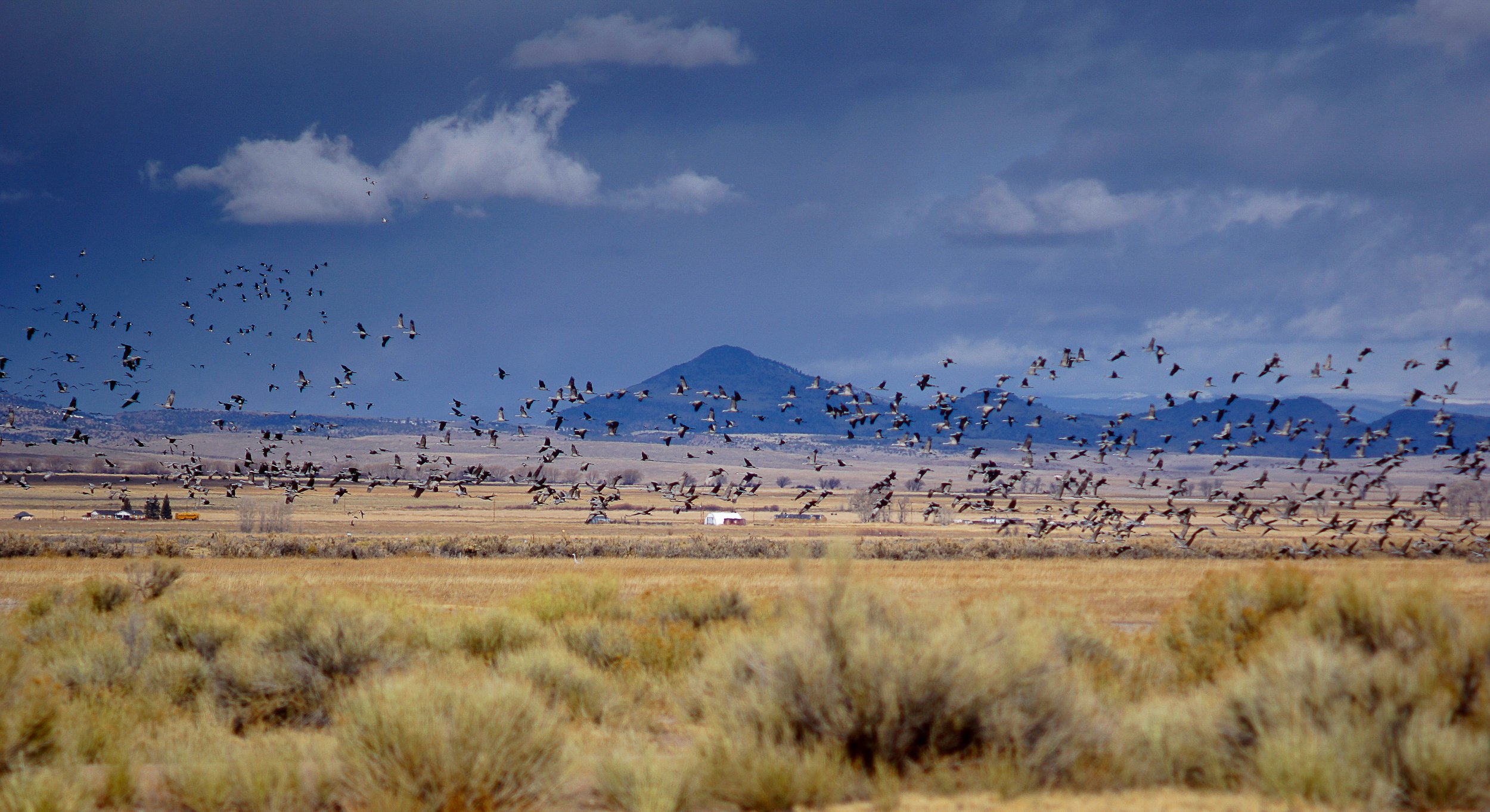 Where we live-32.jpg