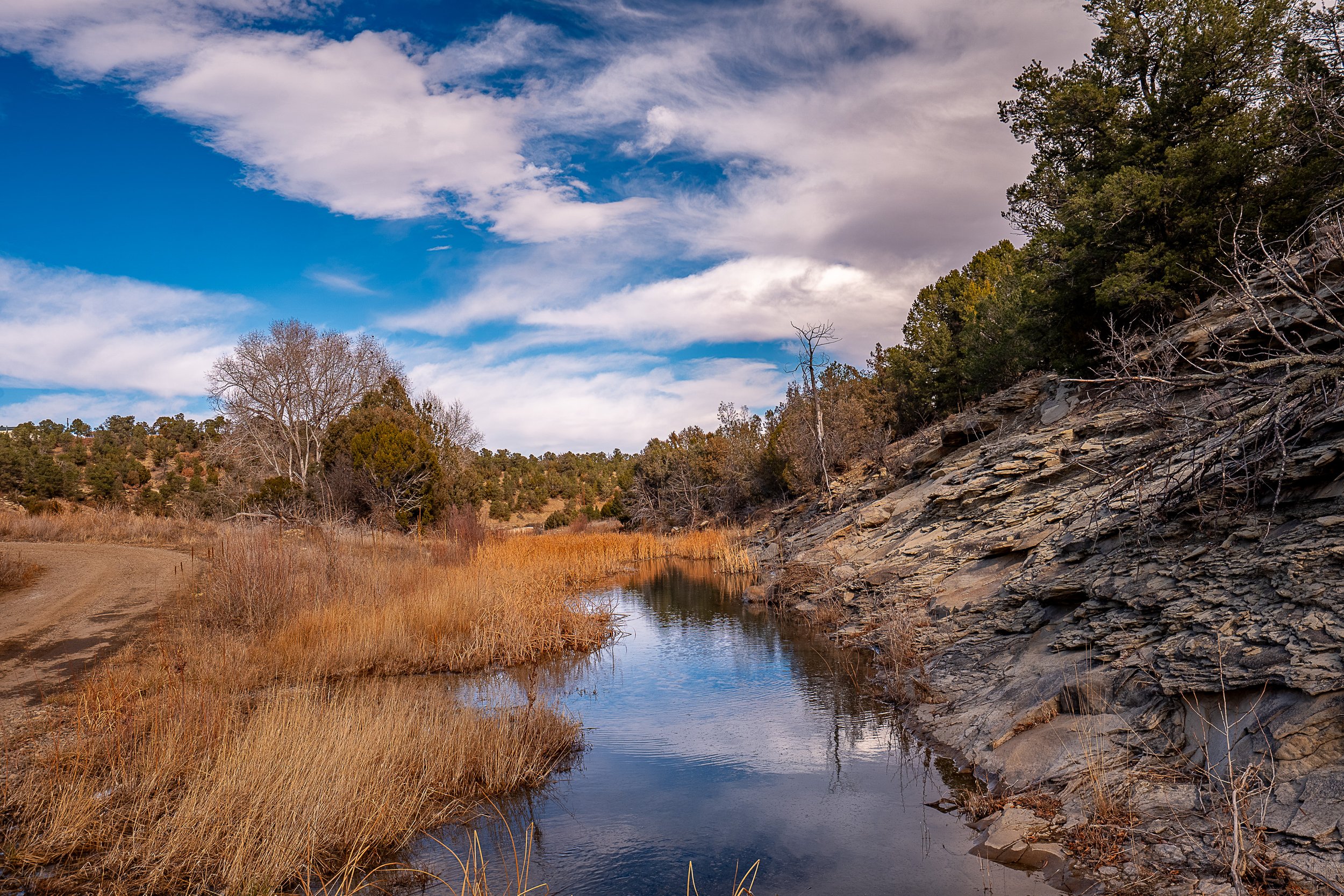 8010 CR 53.1 Trinidad-60.jpg