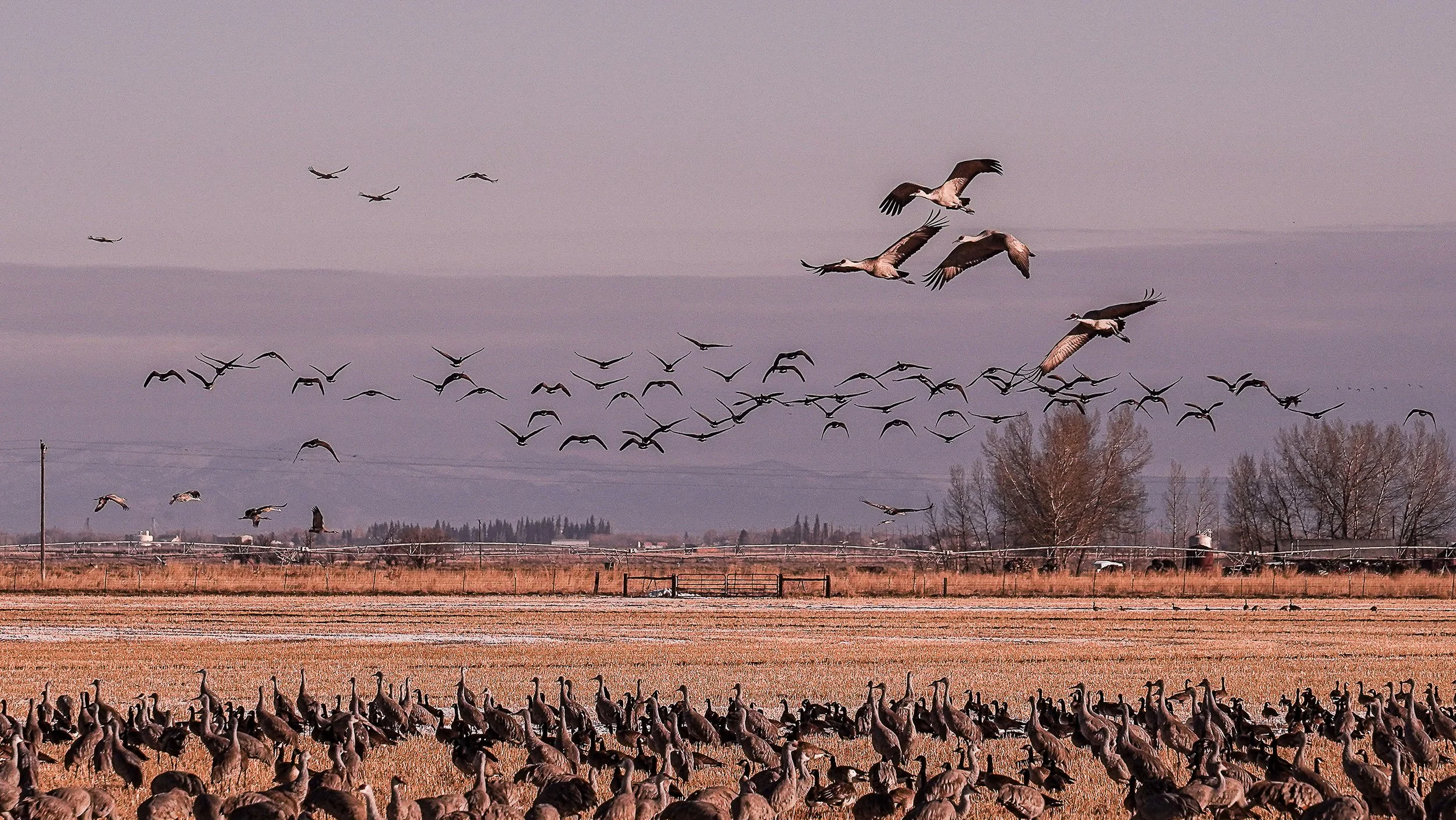 Where we live-13.jpg