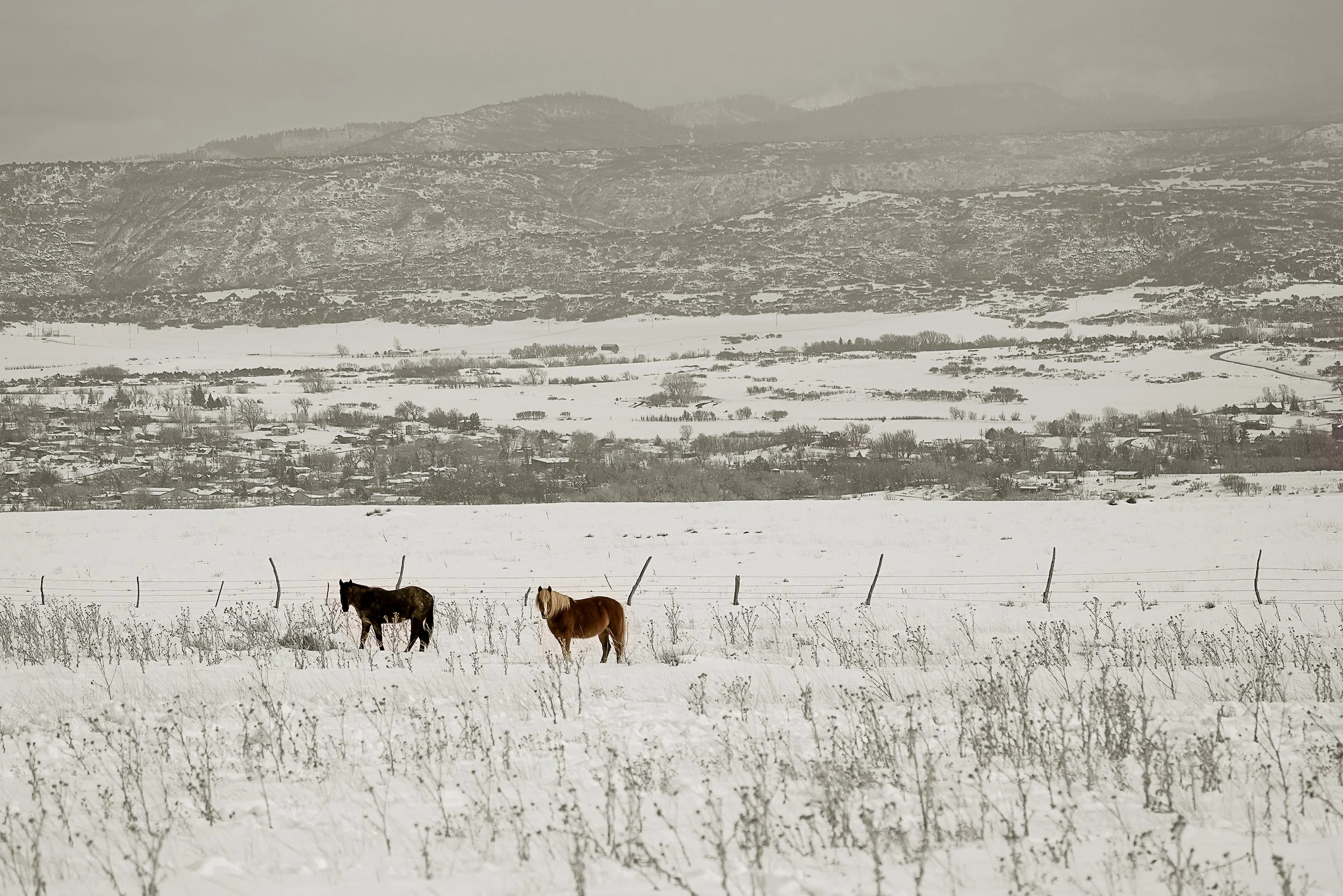 Where we live-17.jpg