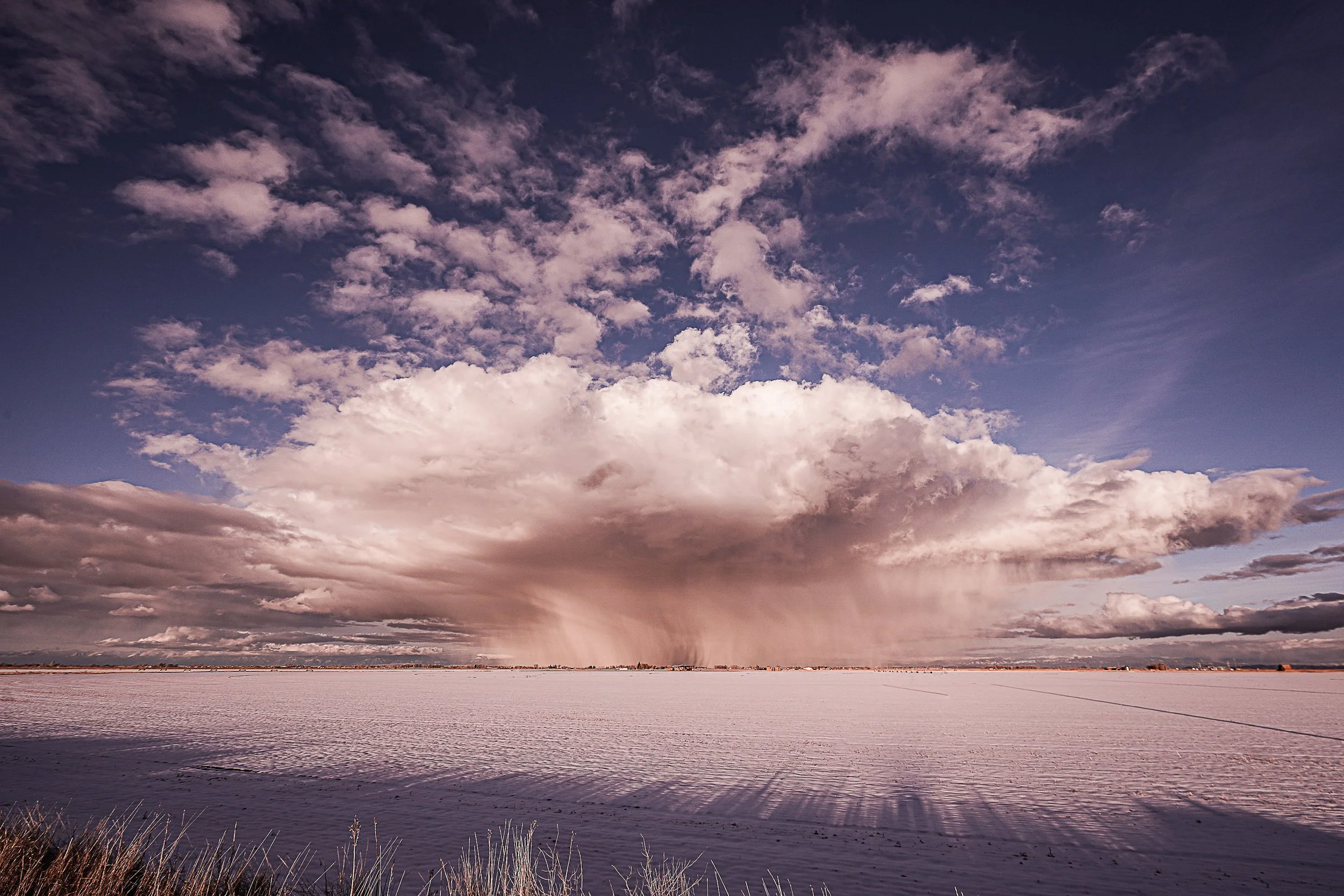 Where we live-15.jpg