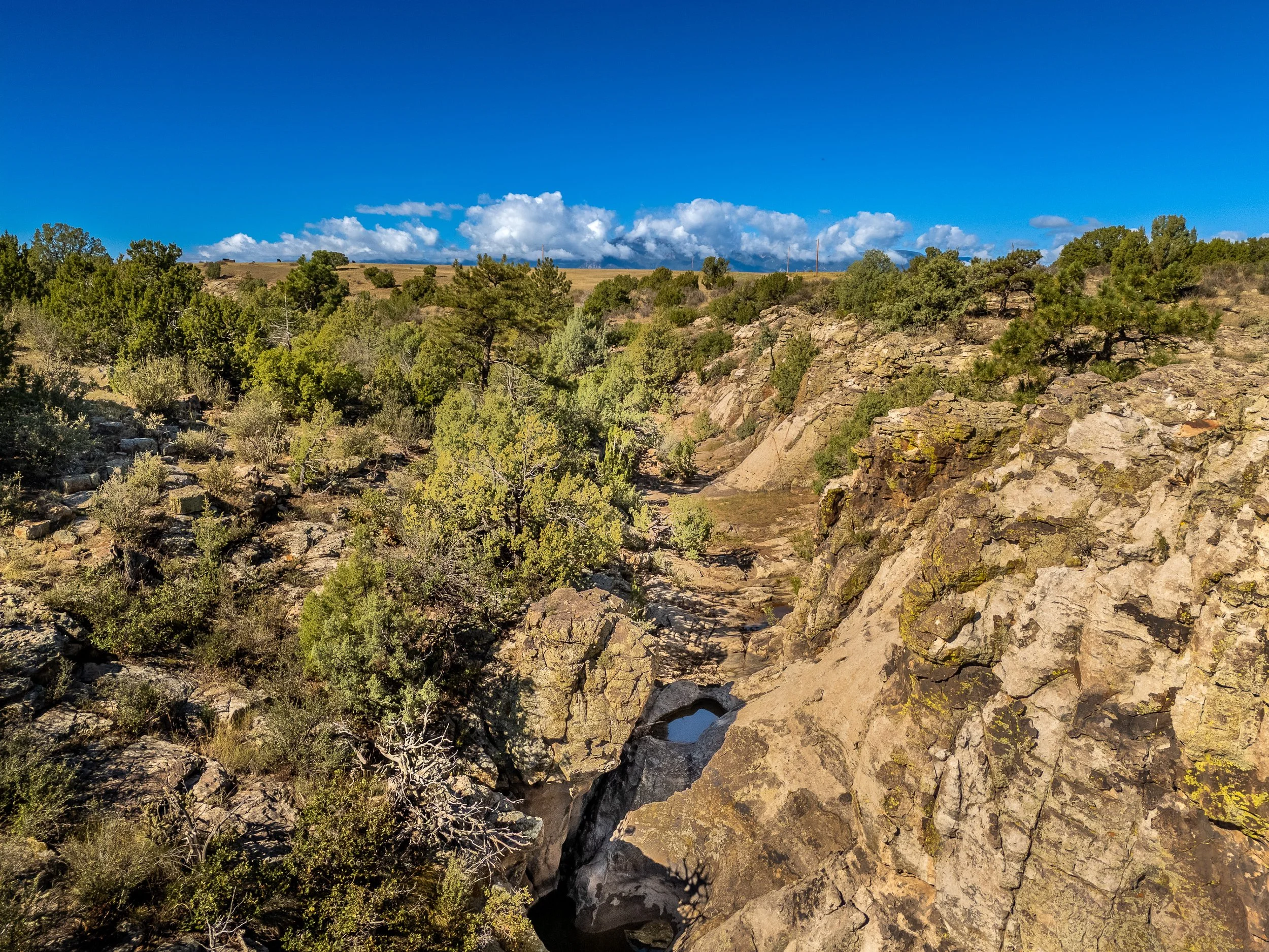 Pinkney Arroyo Lot CO City-3.jpg