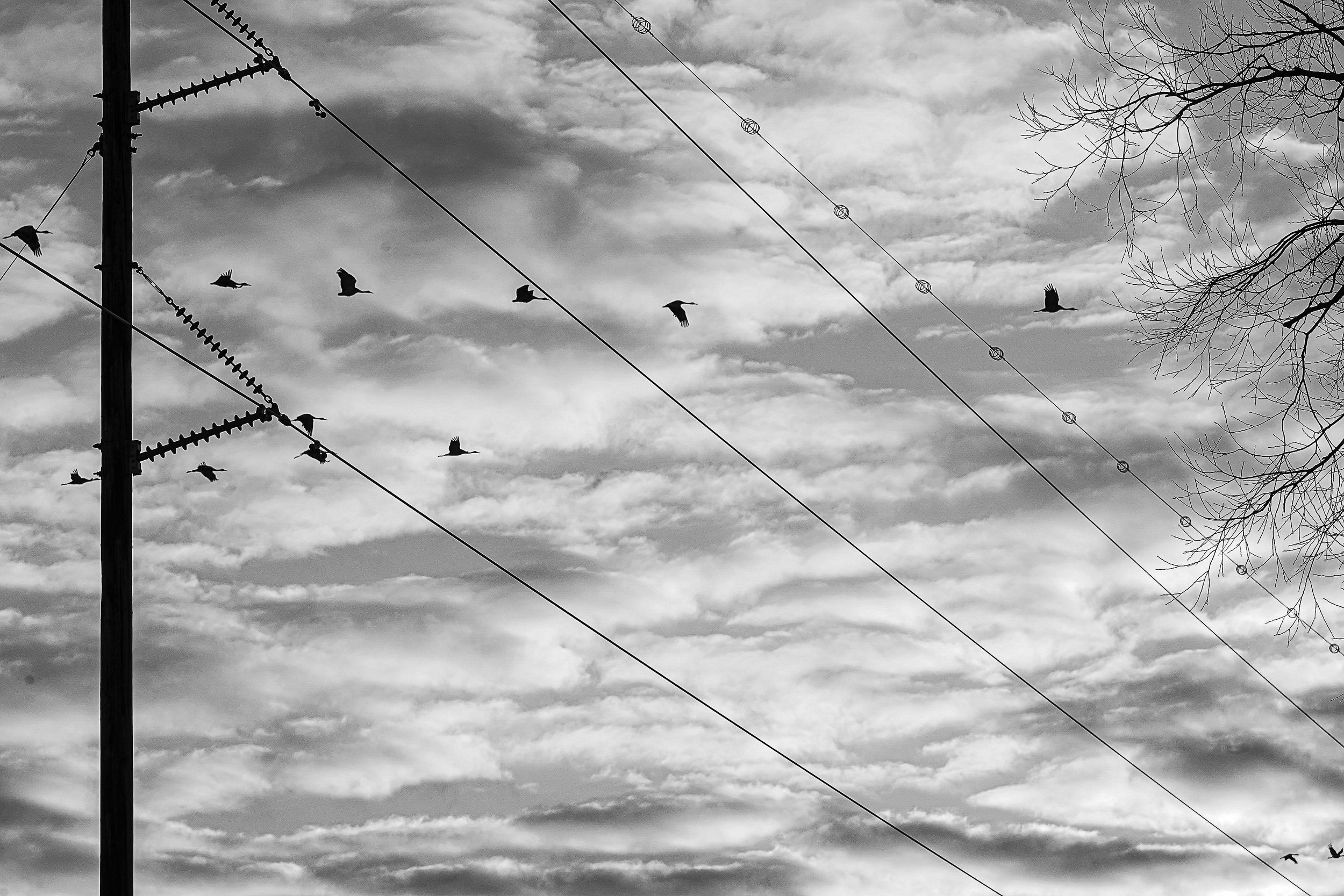 Where we live-14.jpg