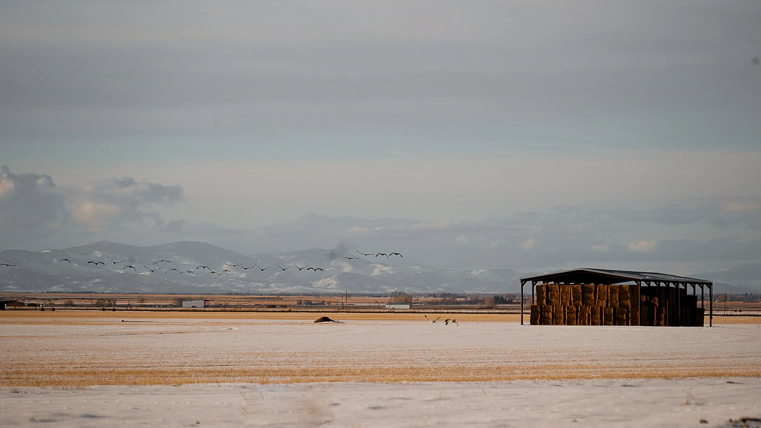 Where we live-16.jpg