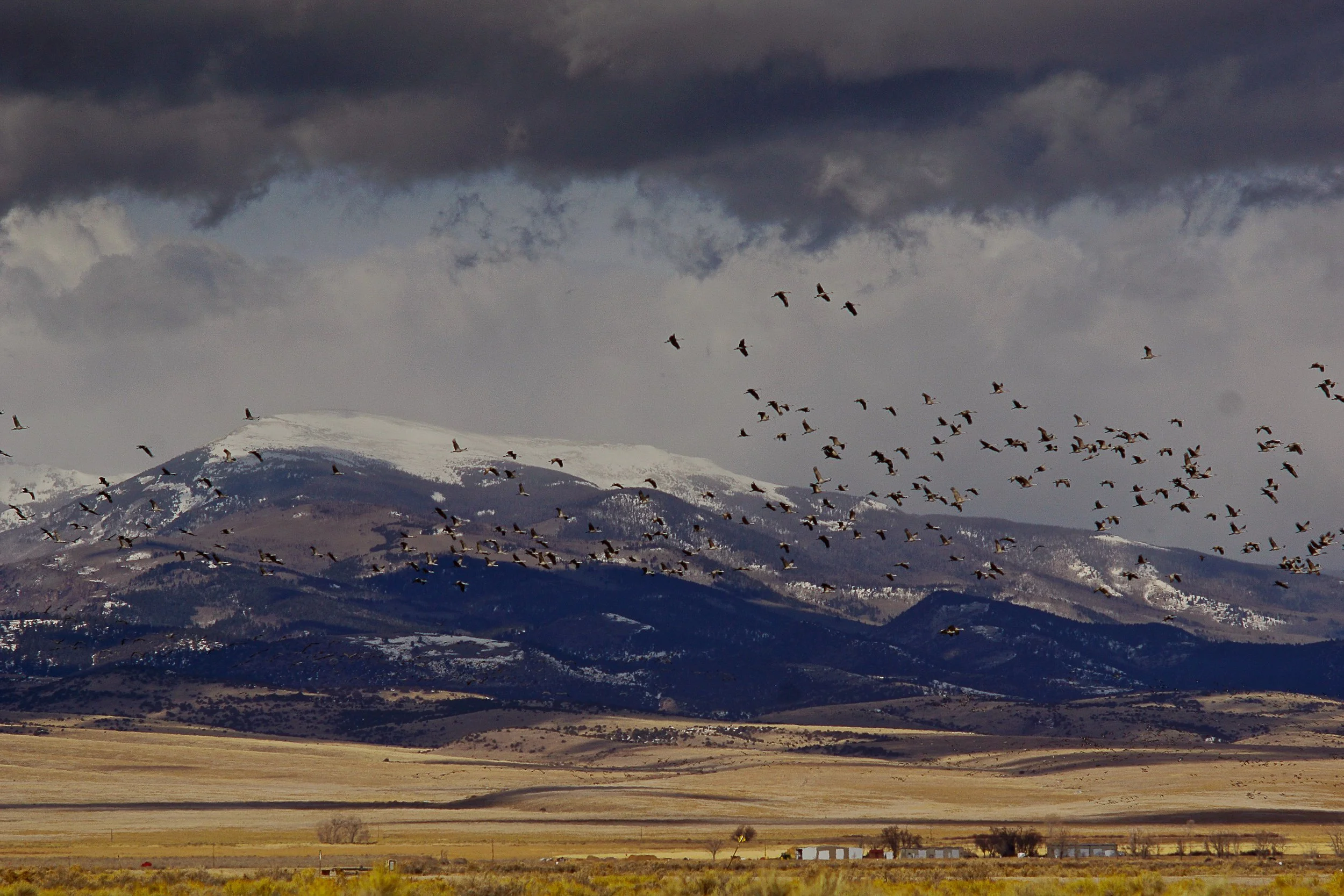 Where we live-31.jpg