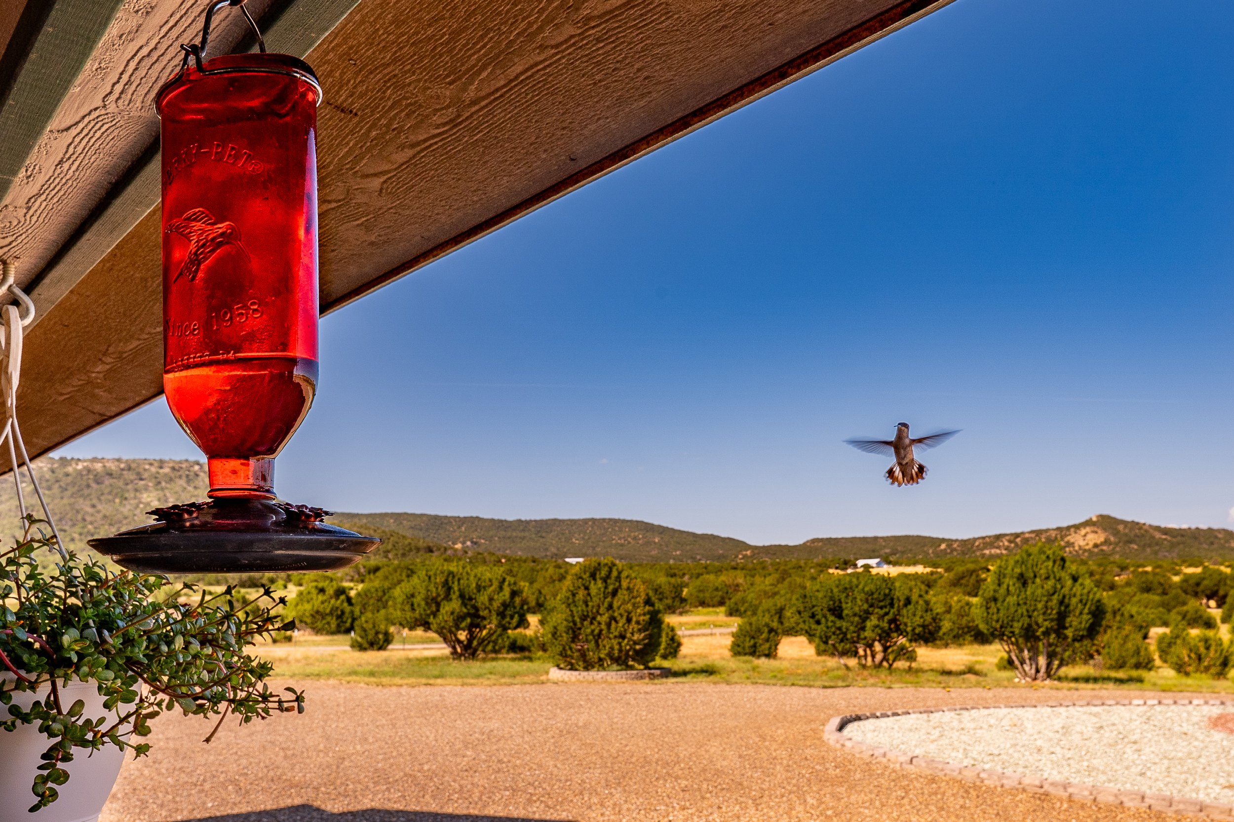 12305 Kunzite Rd-48.jpg