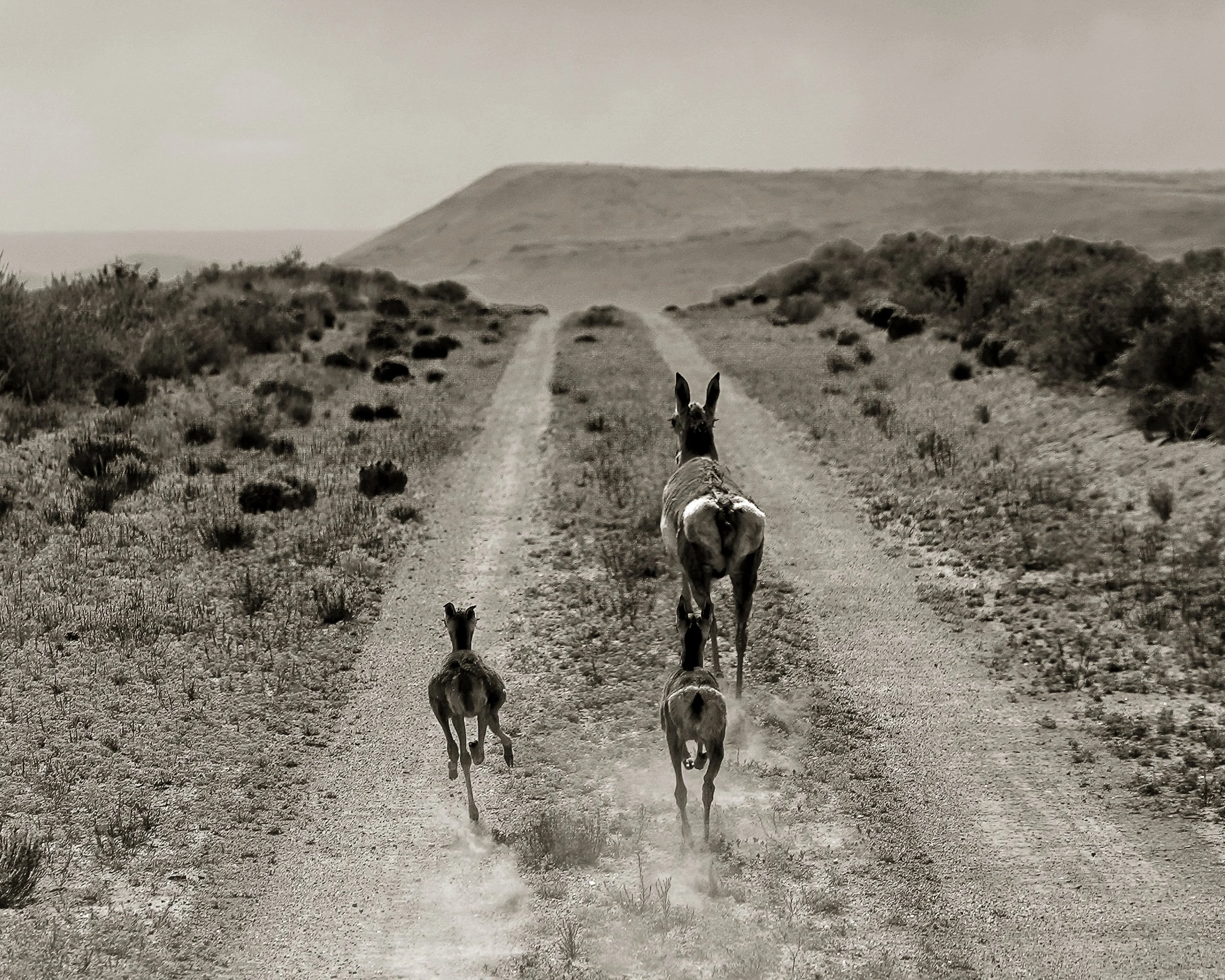 Where we live-25.jpg