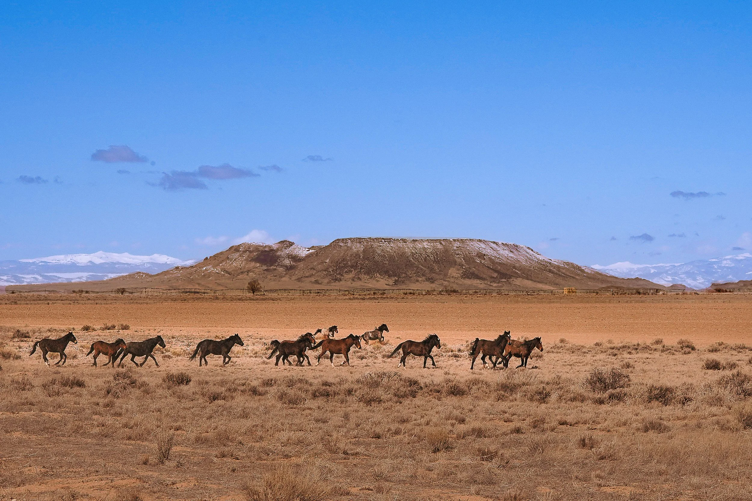 Where we live-12.jpg