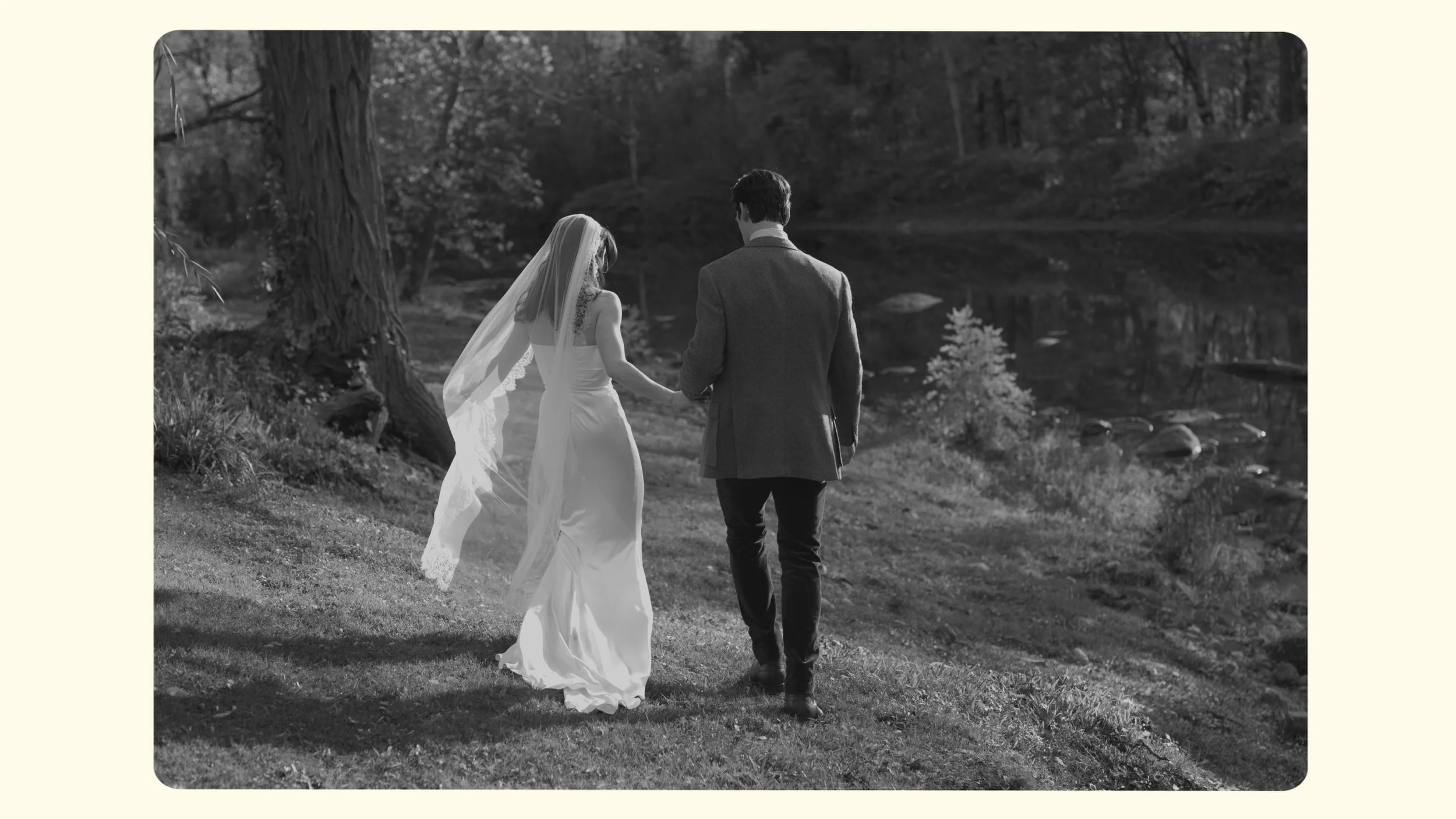 Timeline 1_01_02_38_20.jpg