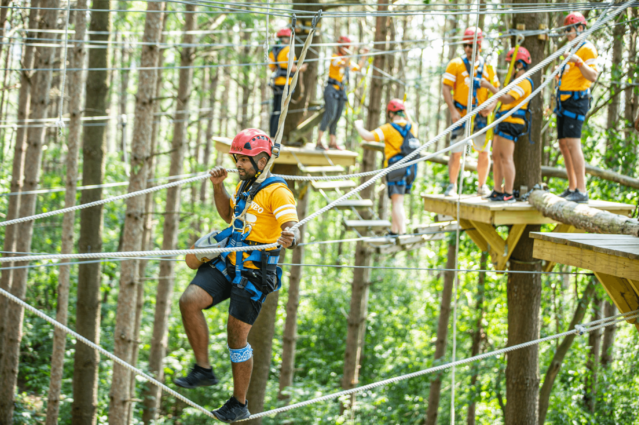 work_corporate-team-building-ropes-course-challenge-1.png