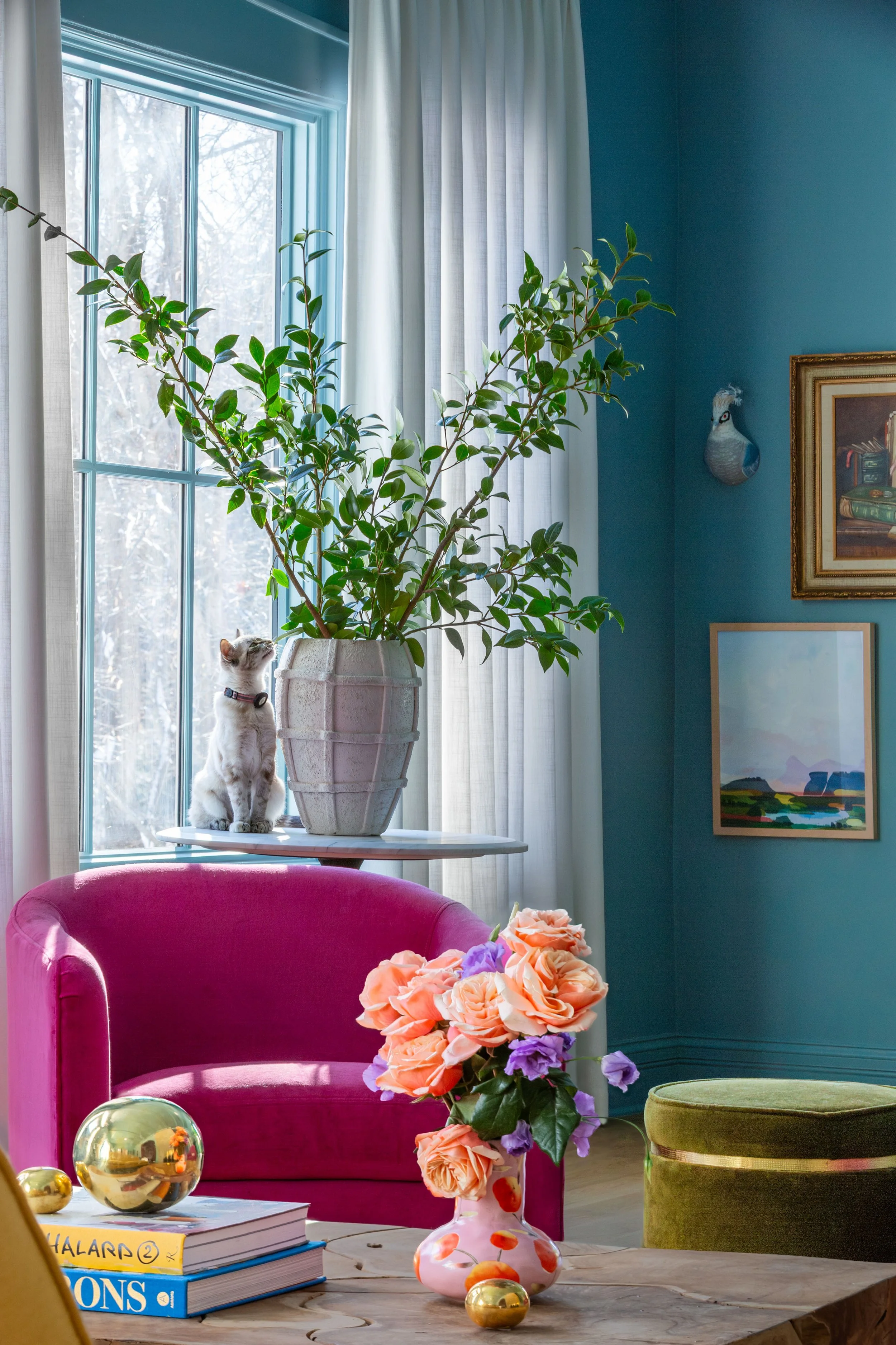 work_interior-living-room-magenta-chair+cat.jpg
