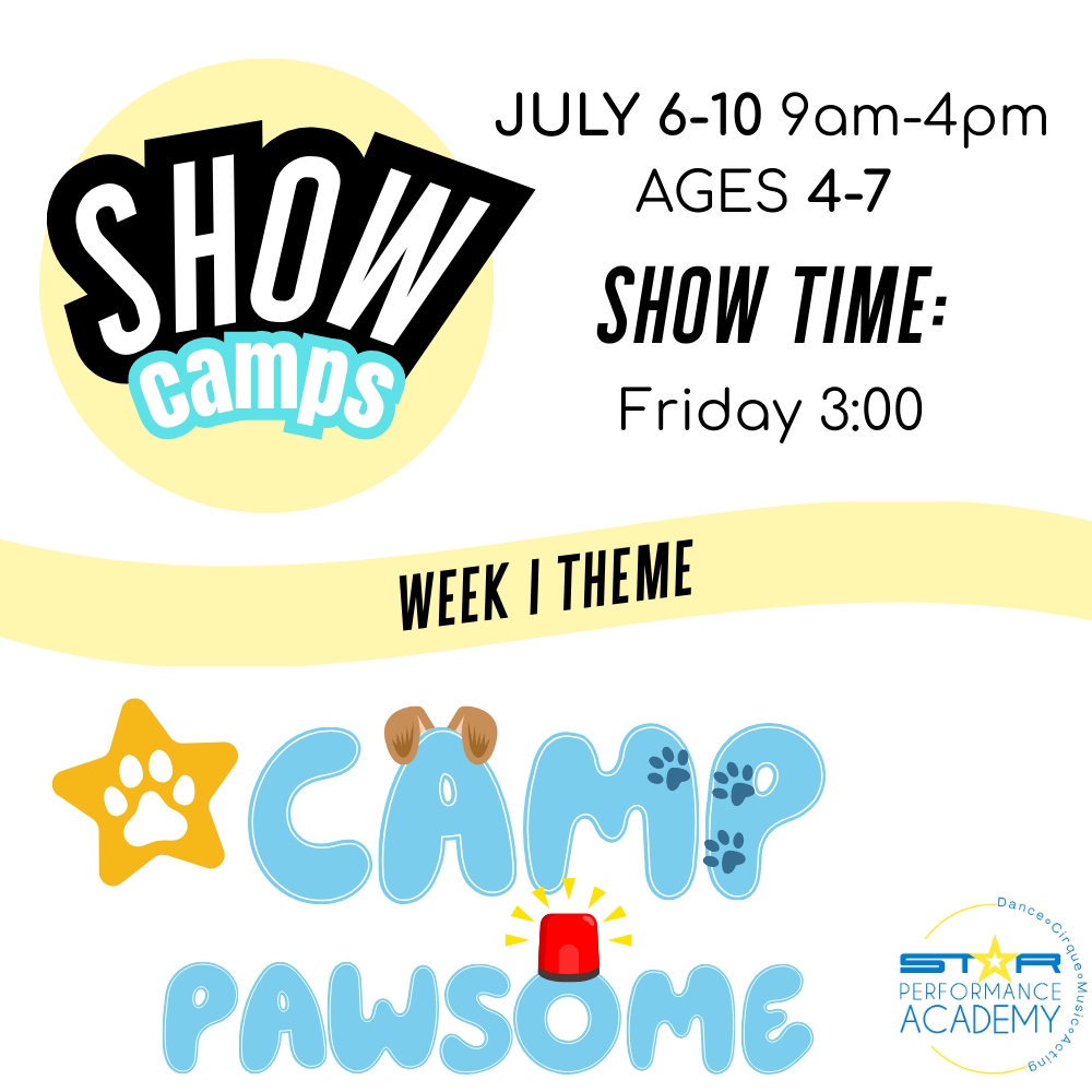 Summer Dance Music Show Camp 2.png