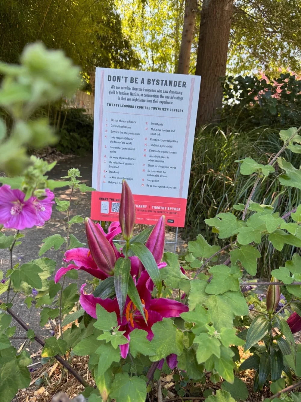 dont be a bystander lily pic.jpeg