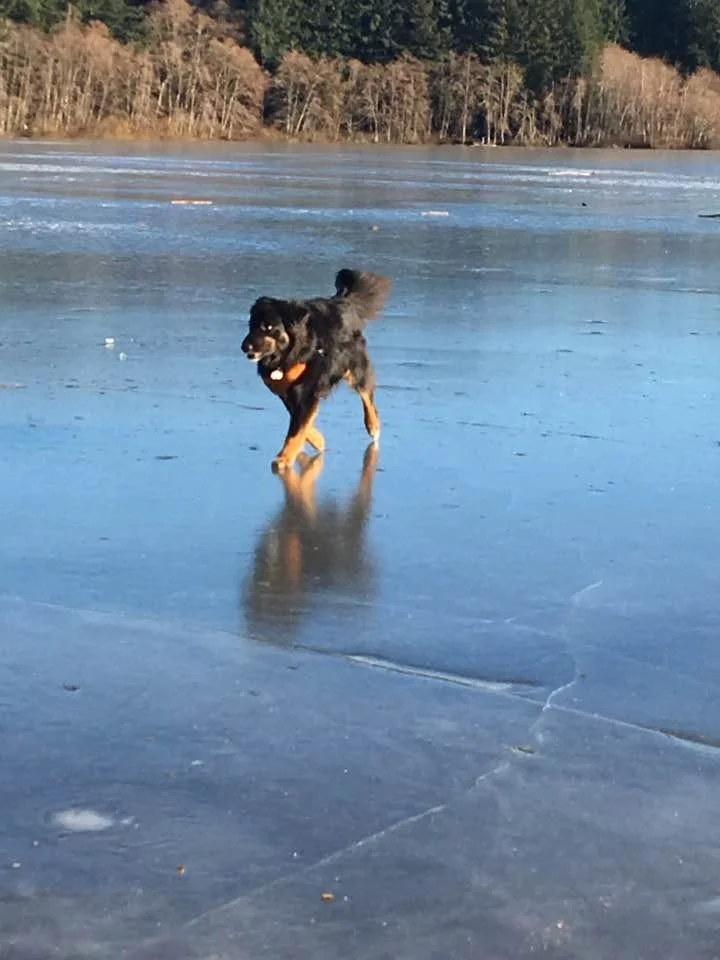 NOTICINGS: It’s been done before