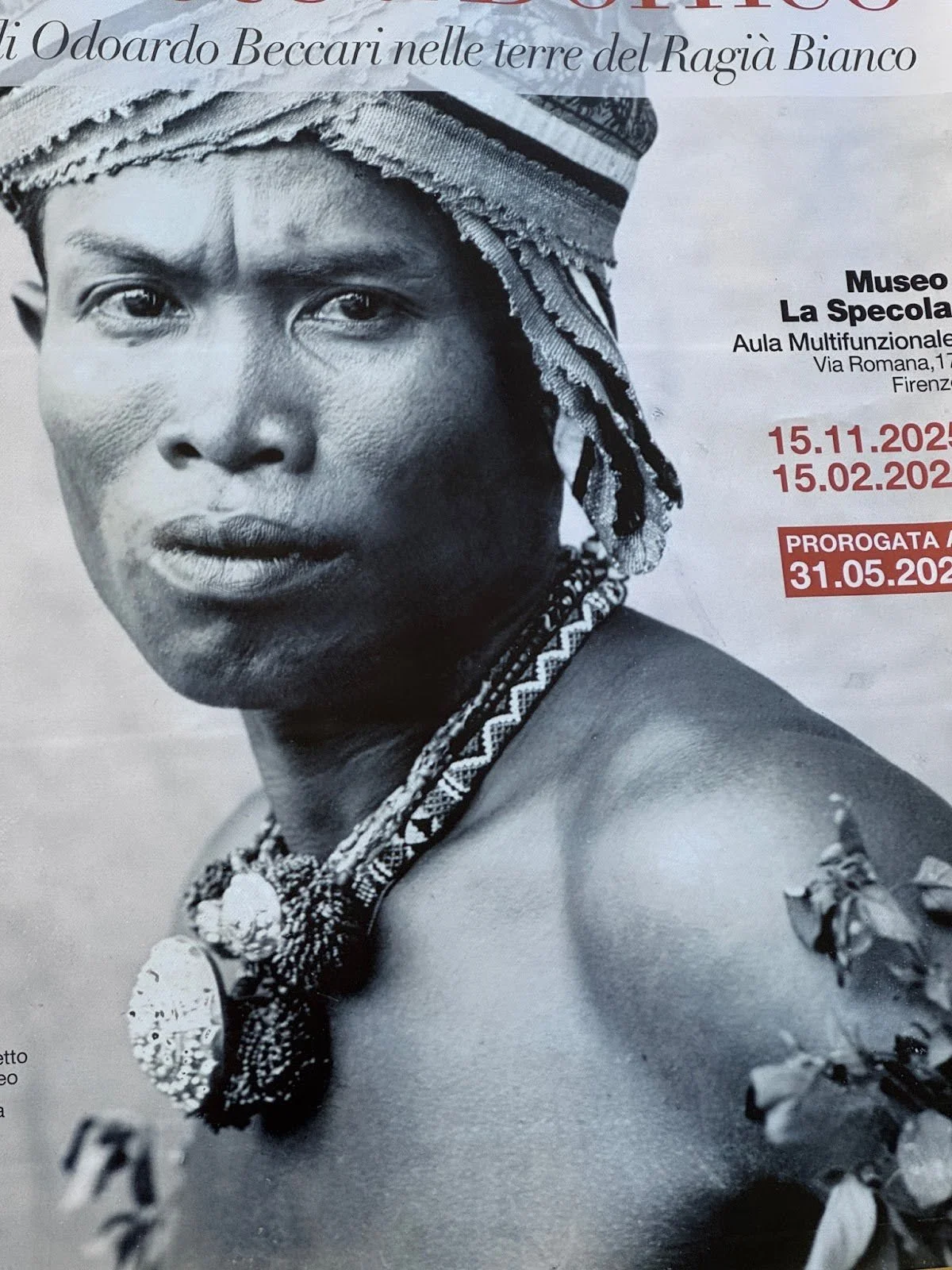 museum ad.jpeg