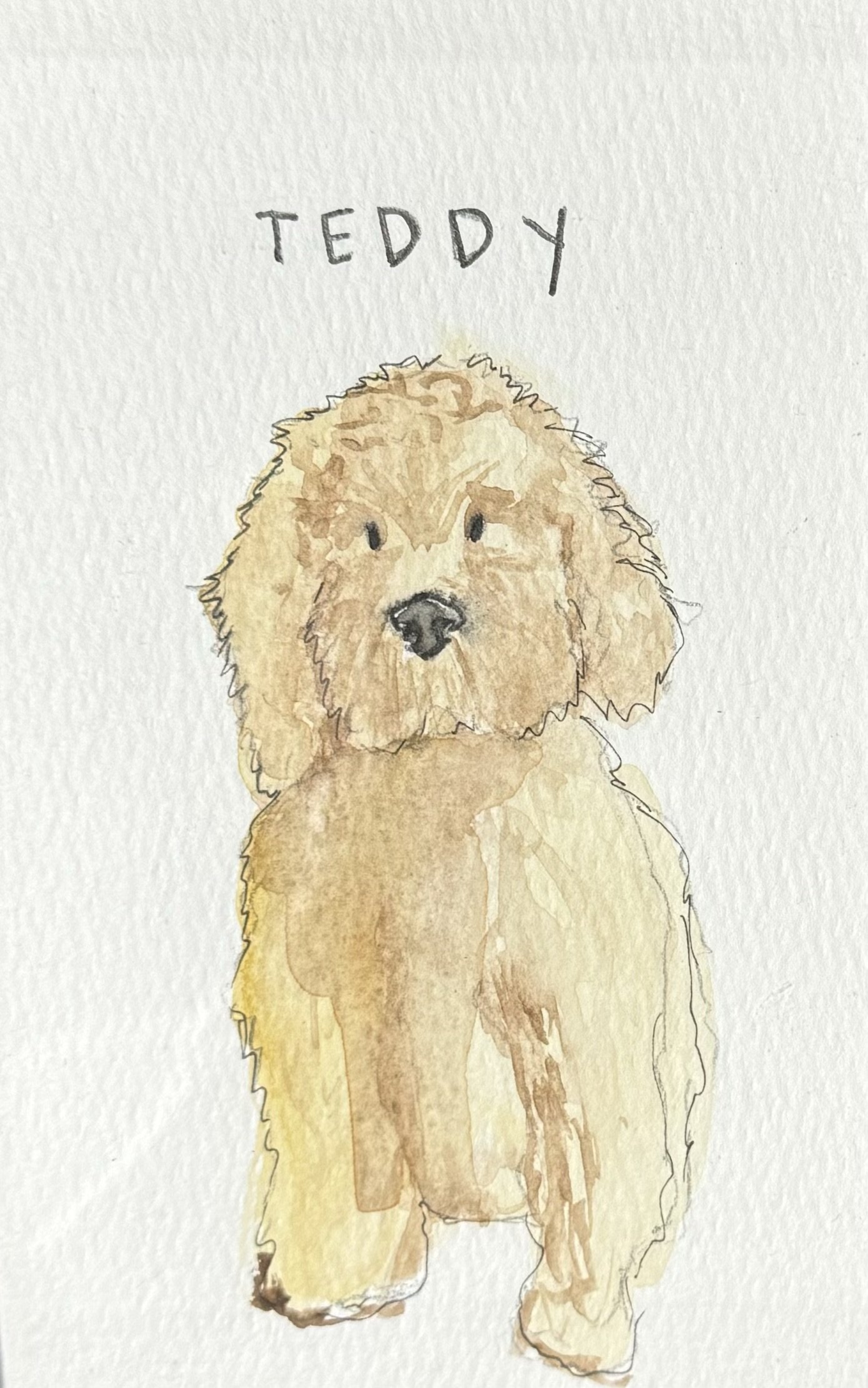 Cartoon dog portrait