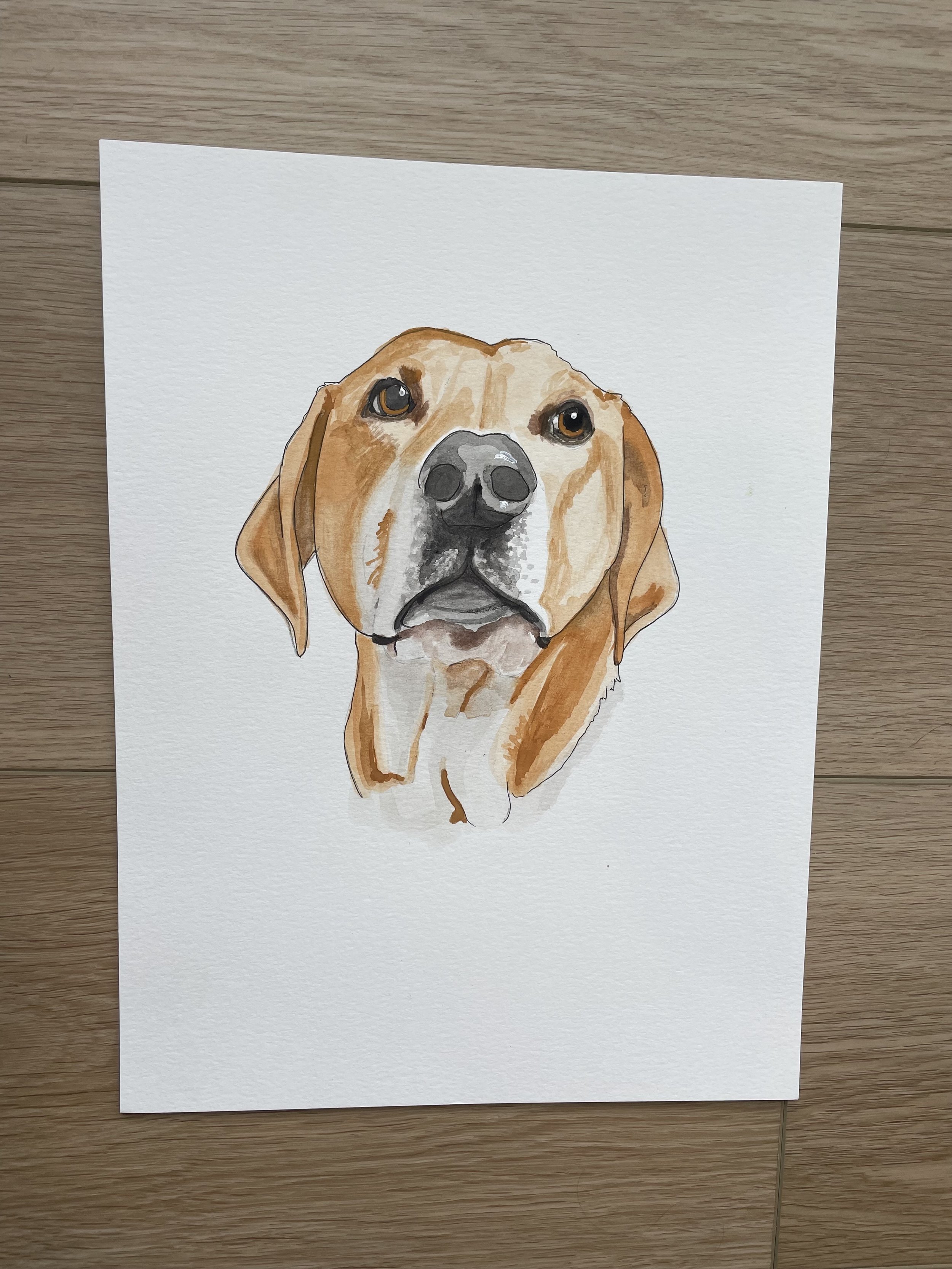 Pet portrait