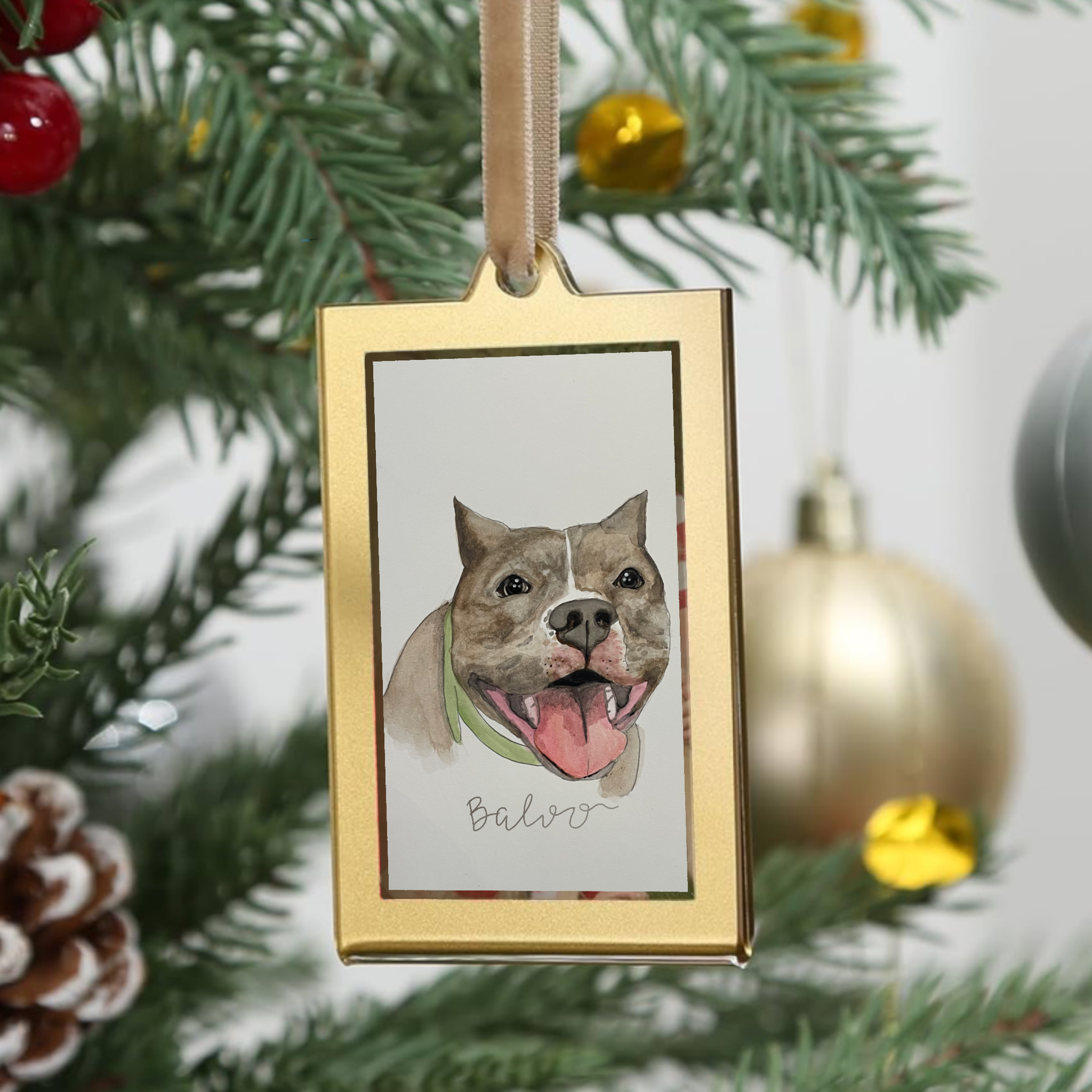 Pet ornament