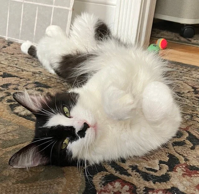 Photo for Website.jpg