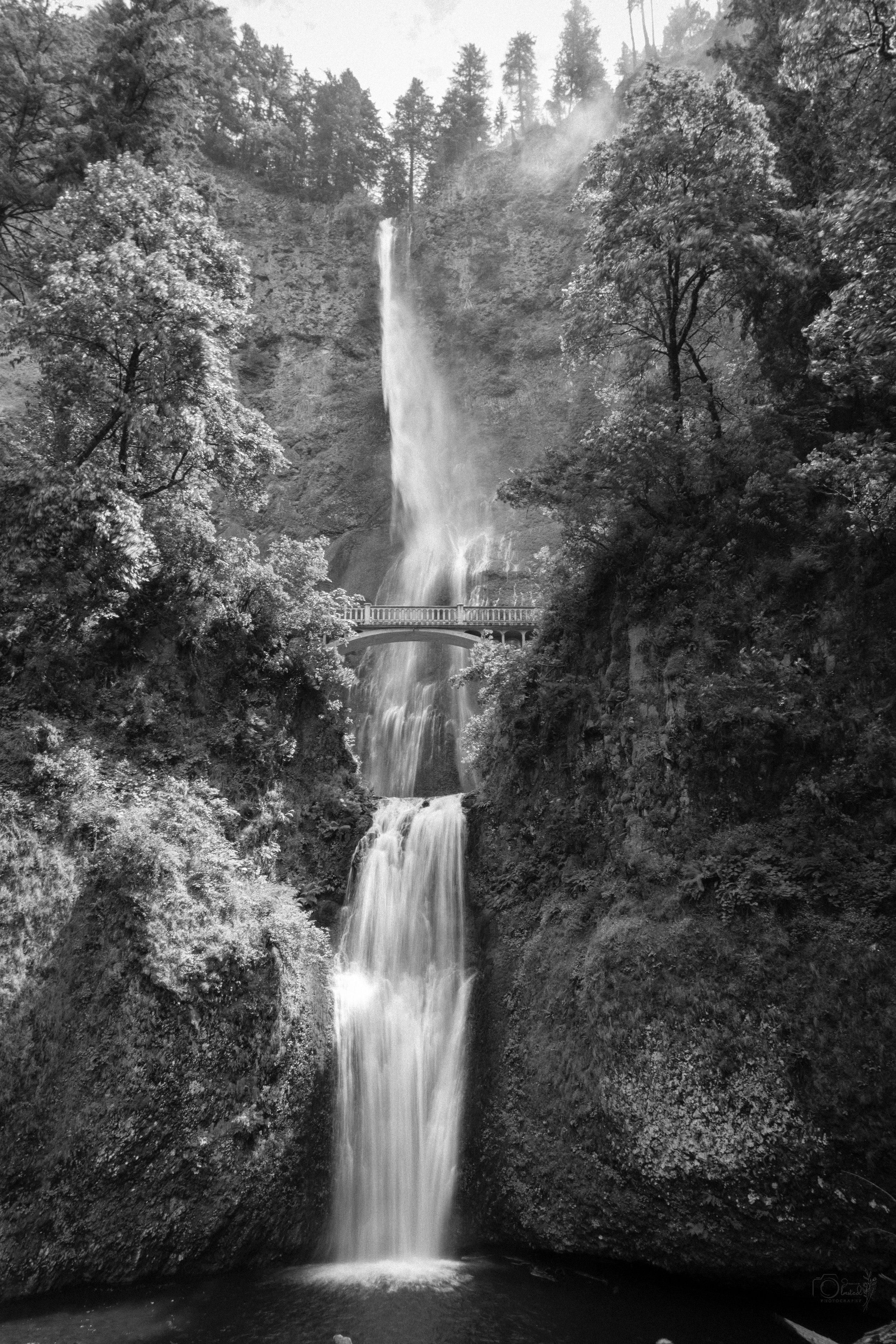 Black and white photo of Multnomah Falls, a tall waterfall cascading down a cliff, with a bridge crossing in the middle, surrounded by trees and vegetation.