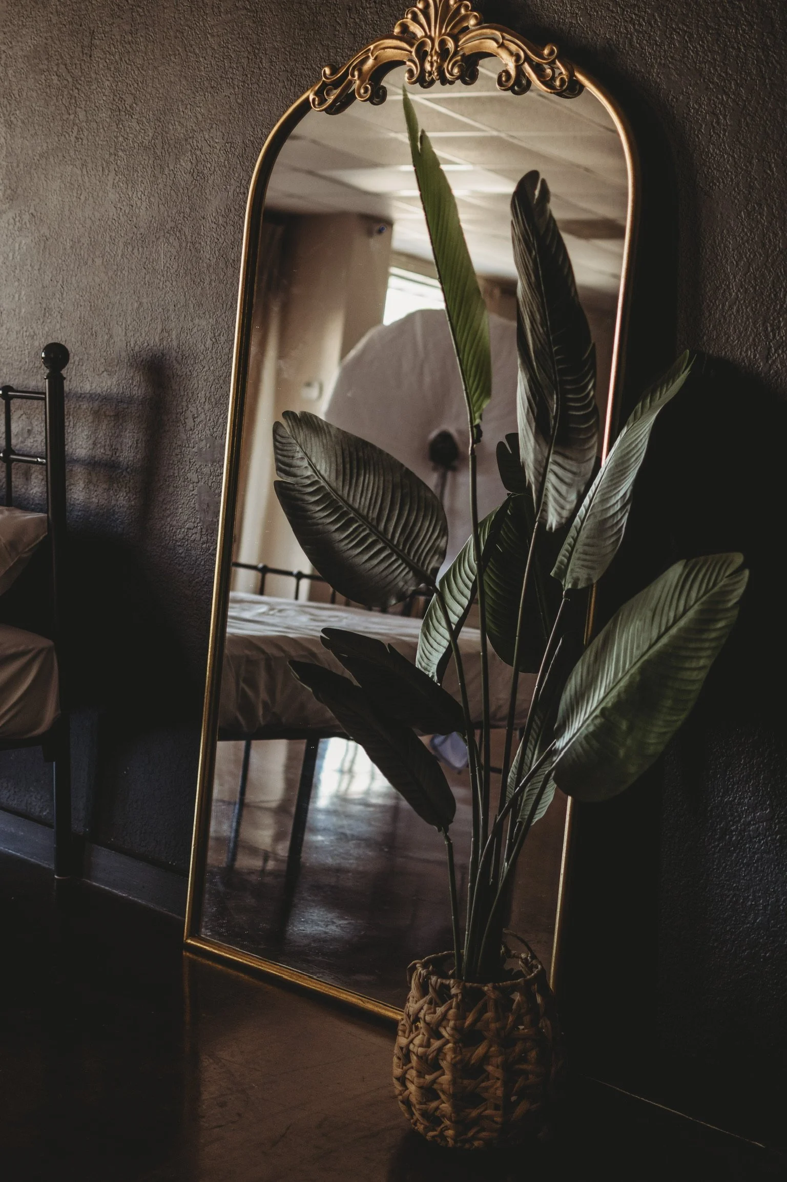 Large ornate gold mirror and potted plant reflecting the bedroom setup at our daylight photography studio space near Biloxi MS.