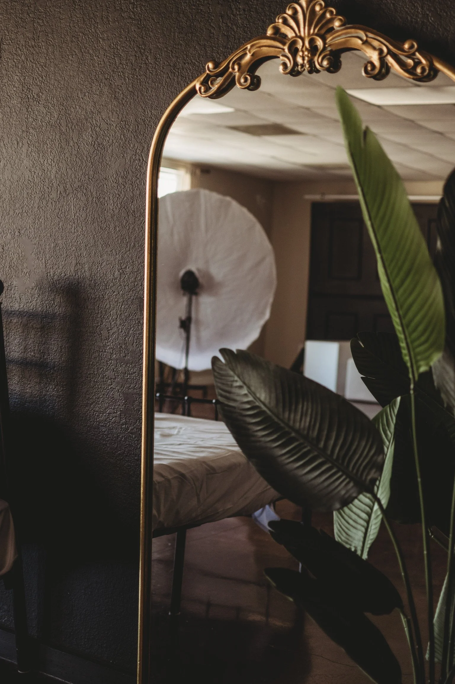 A mirror with ornate gold trim reflecting a room with a bed, large white umbrella light, and green houseplant leaves in the foreground.