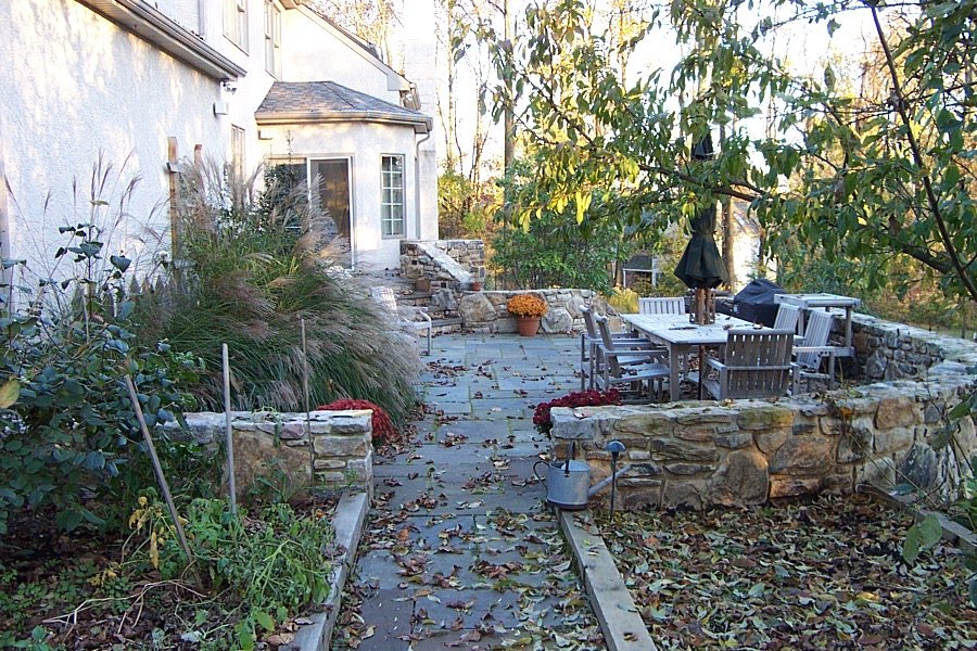 A woodland retreat.jpg