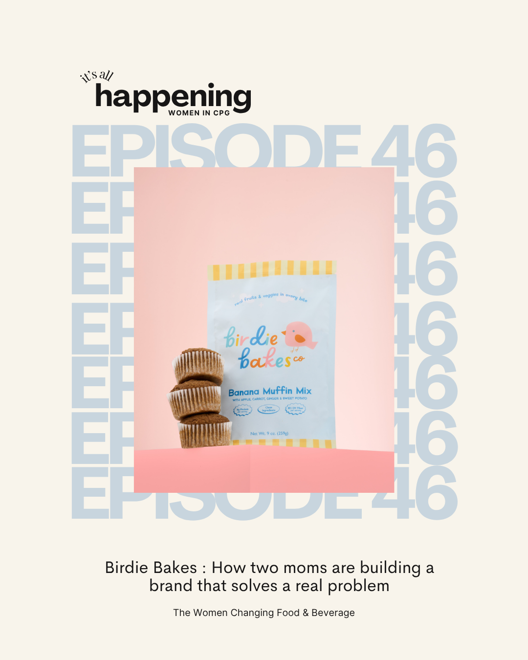 Birdie Bakes : How two moms are building a brand that solves a real problem