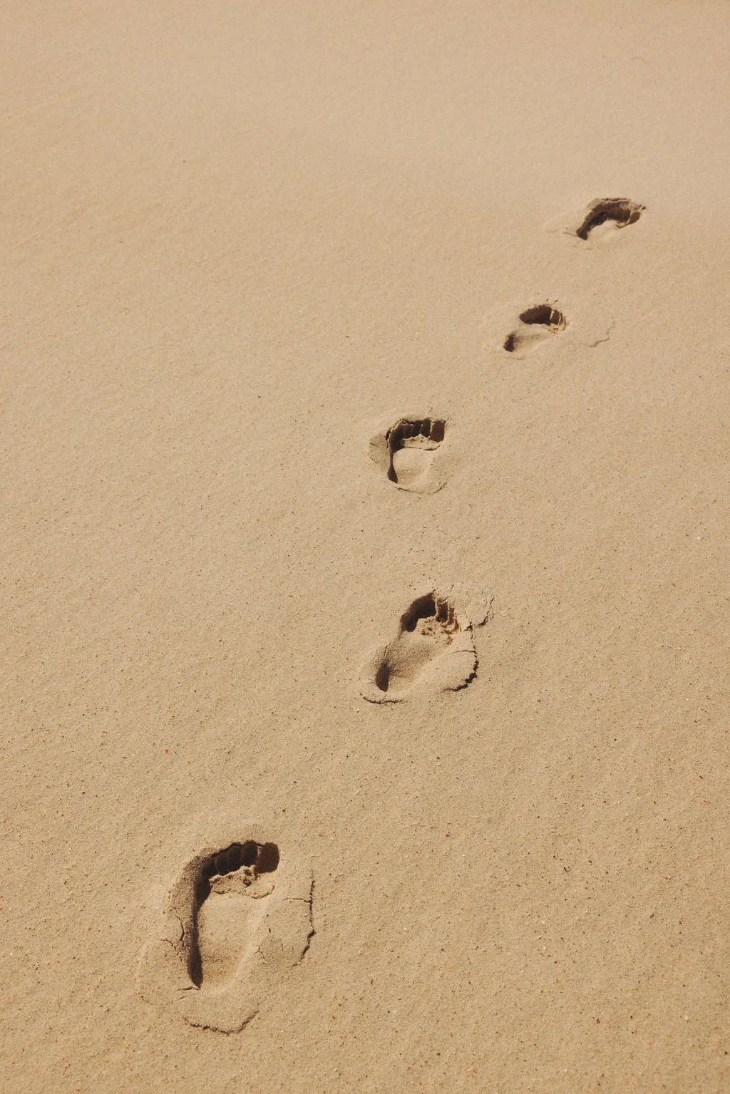 A trail of footprints in the sand at the beach