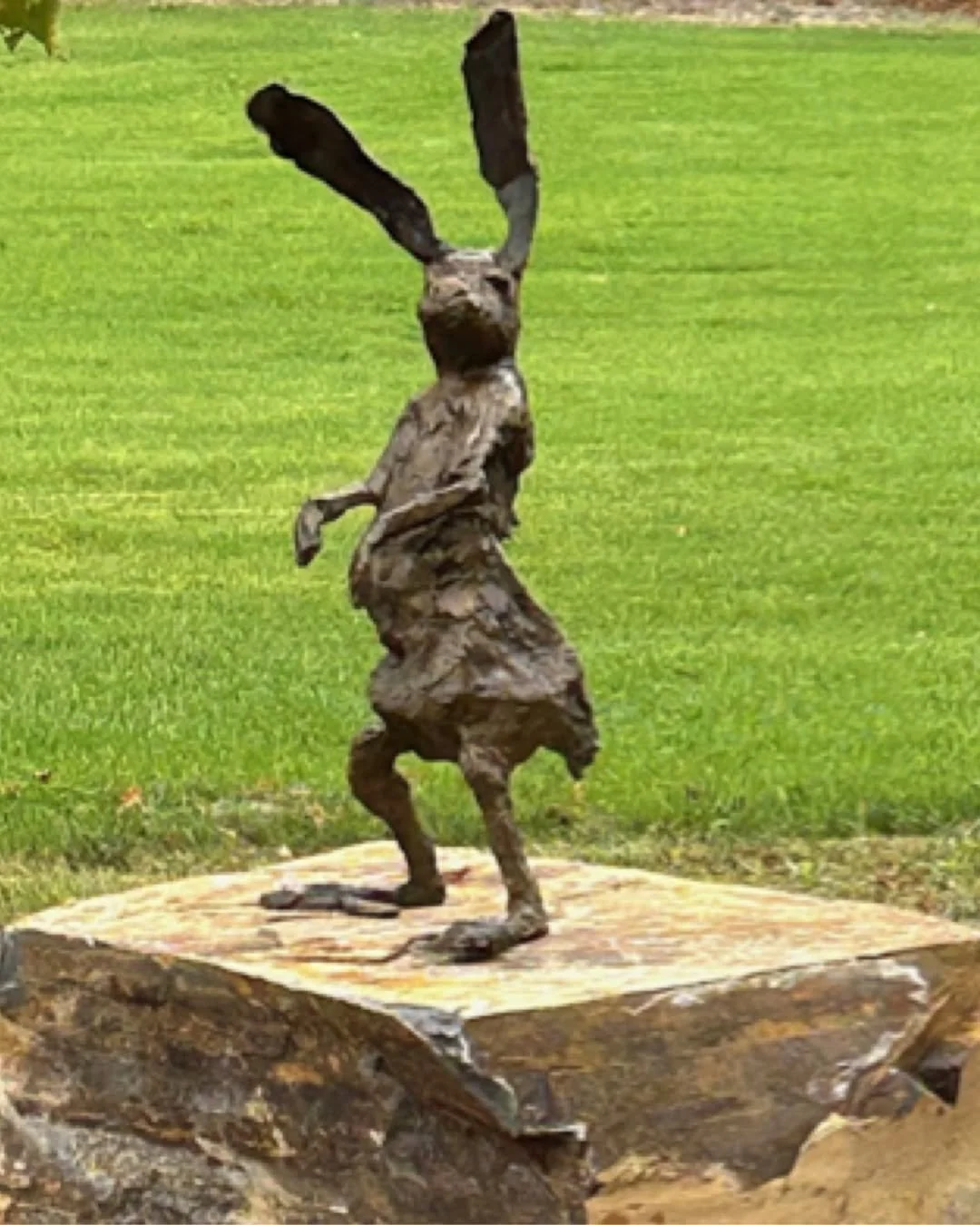 This week's featured sculpture: Mr. Hare's Brother by @markdykesculptures 
Imagine this work welcoming visitors to your business...now imagine it inspiring thousands in a public park! Both are possible. Available for purchase from @sculpturemissoula 
