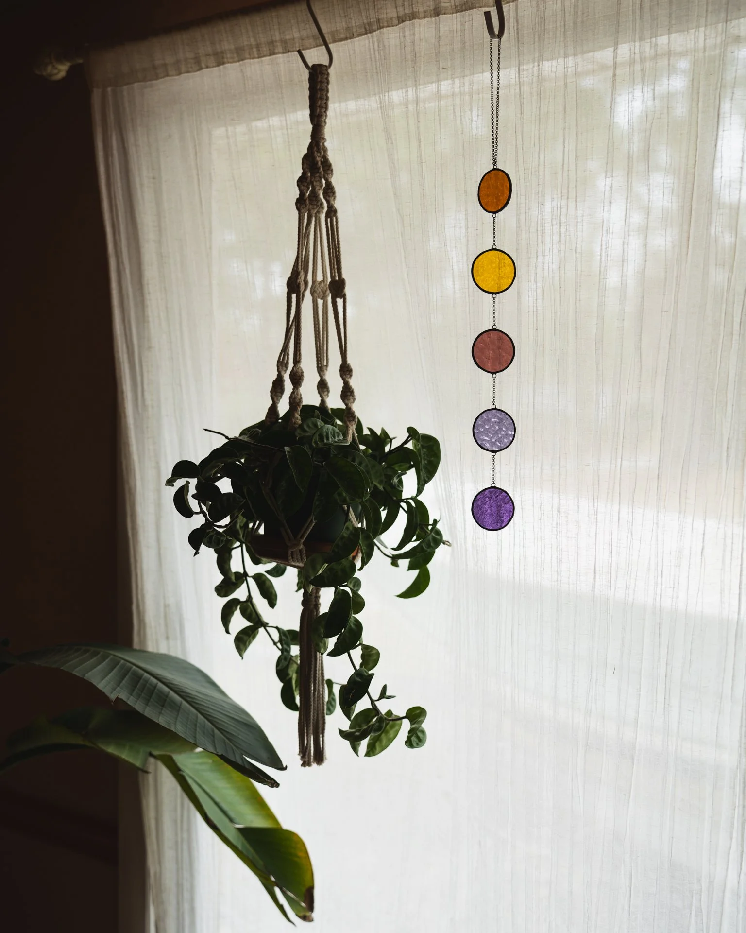 2026 Dayglow Glass - Bubbles-10.jpg