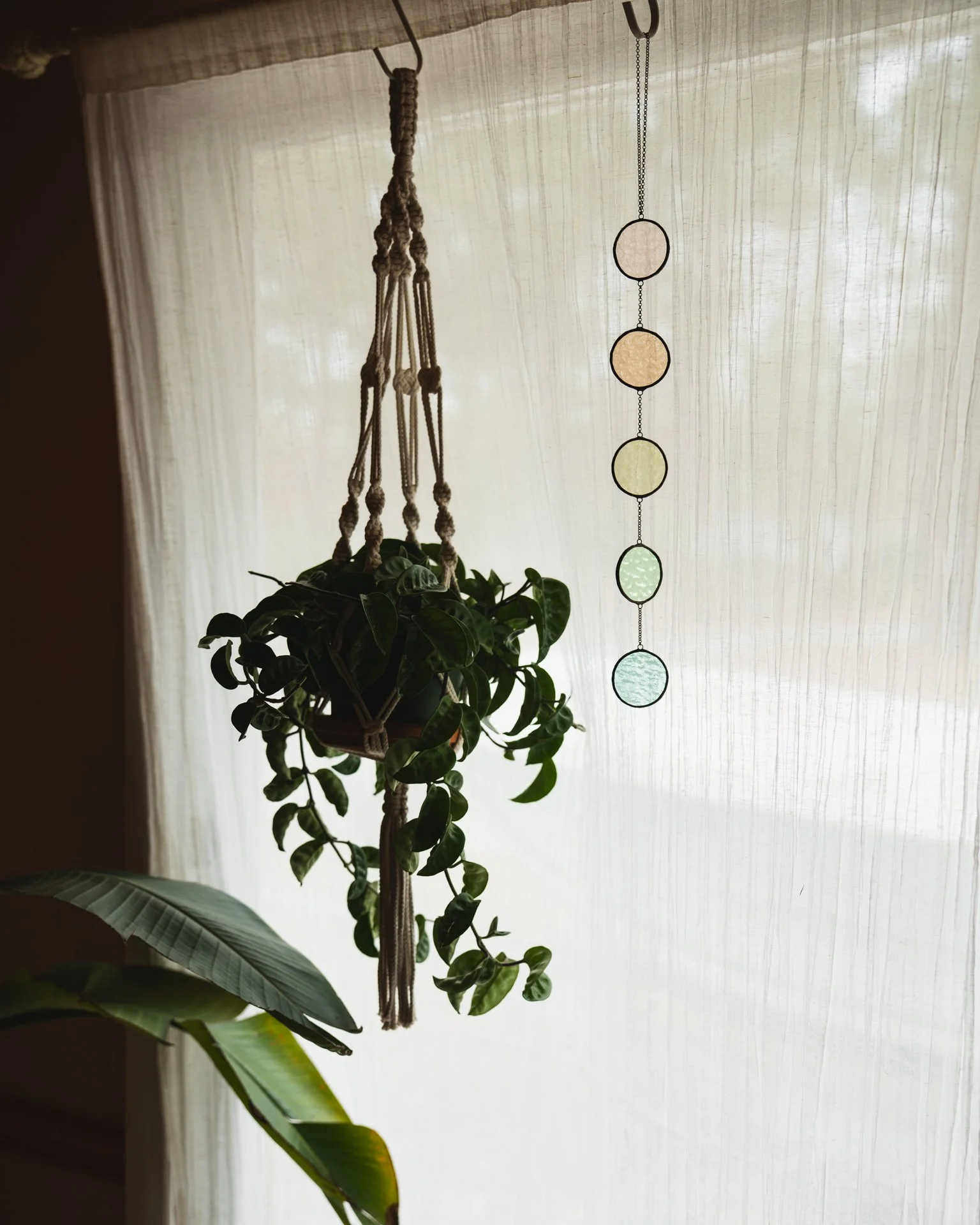 2026 Dayglow Glass - Bubbles-13.jpg