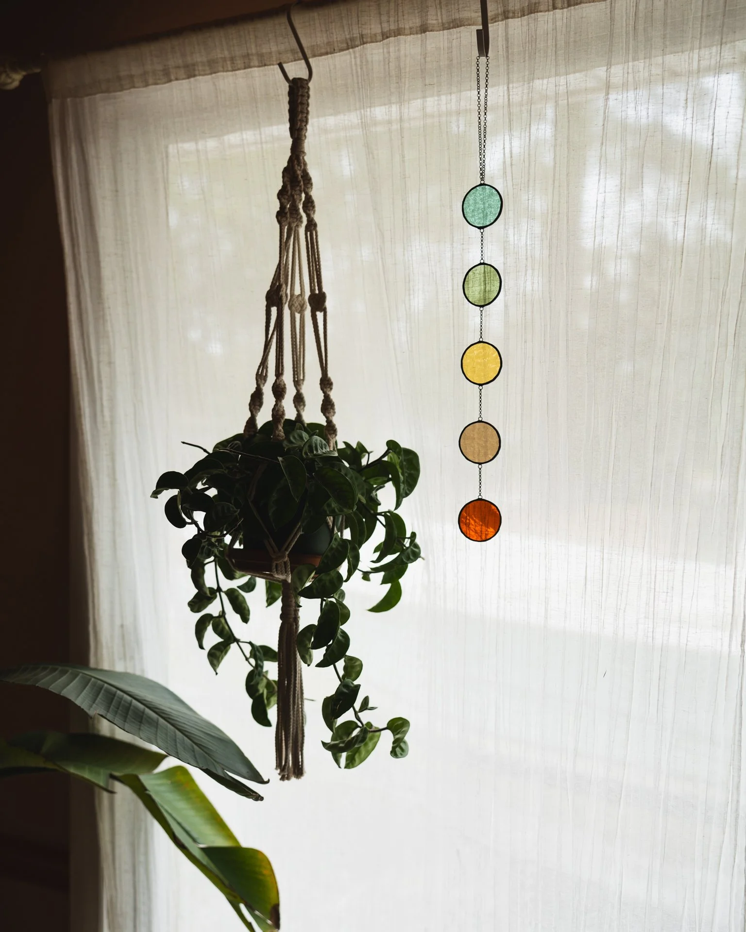 2026 Dayglow Glass - Bubbles-16.jpg